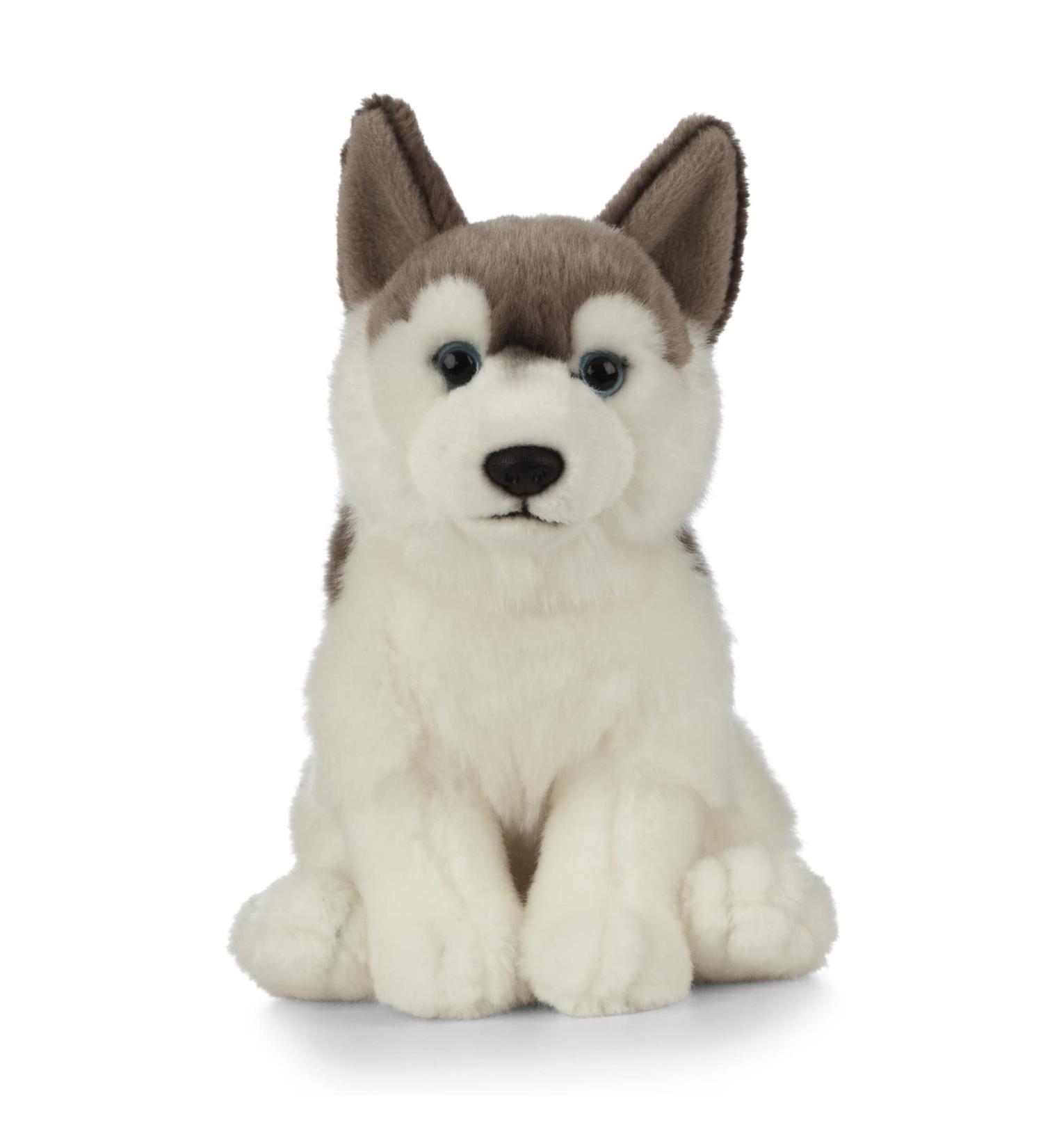 Living Nature AN461 Husky Realistic Soft Cuddly Dog Toy - Eco-Friendly Plush 21cm - Buy Online on SooperMarket.com