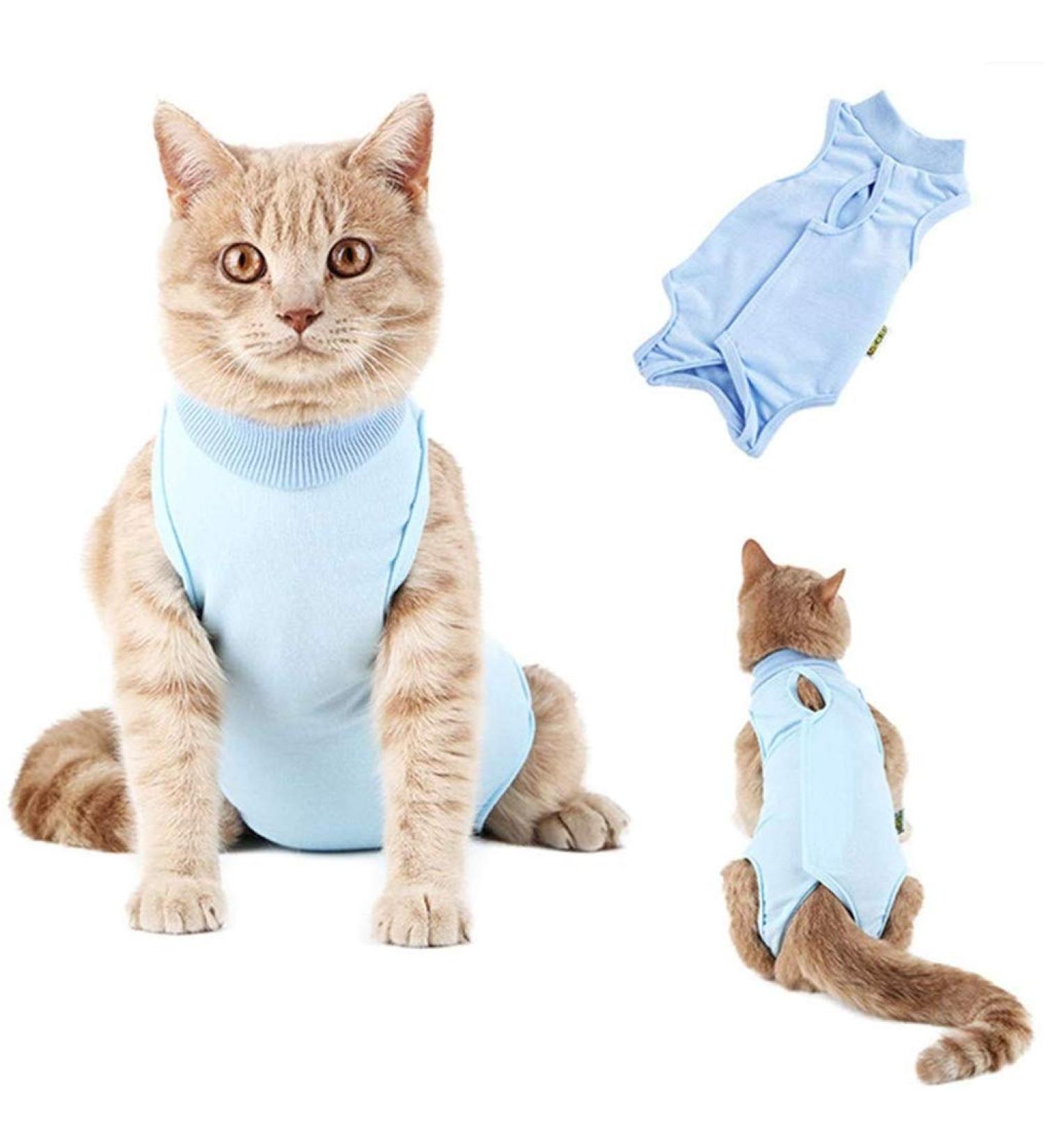 Cat Professional Surgical Recovery Suit Cat Clothes for Abdominal Wounds or Skin Diseases (M Blue) 1.36 kg (Pack of 1) Blue - Buy Online on SooperMarket.com