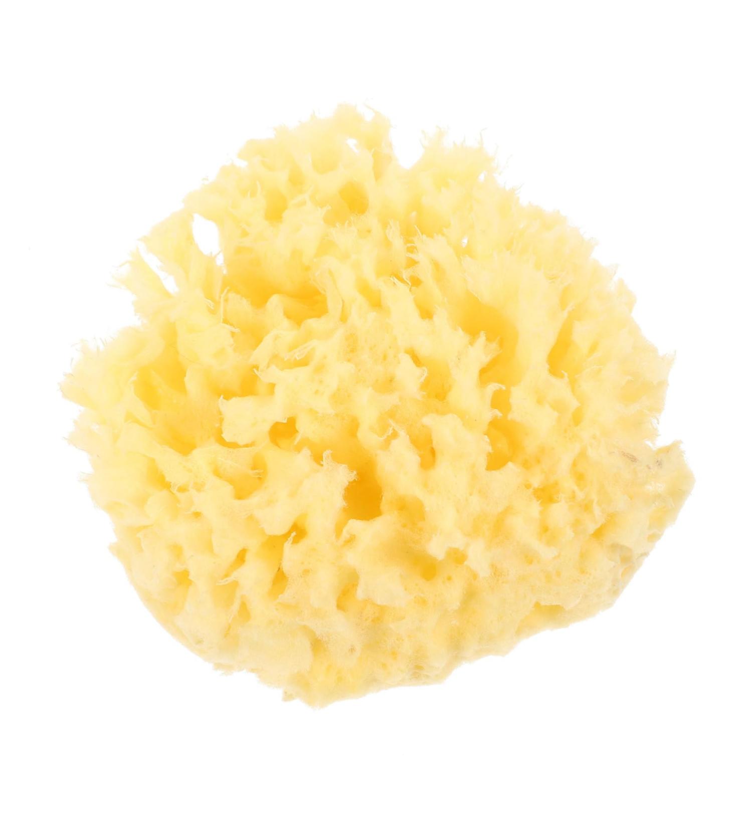 Gogogmee Moisturizer Natural Sponges for Bathing Natural Bath Sponge Sea Sponges for Shower Body Sponges Sponge for Shower Bathing Sponge Natural Sponges for Body Shower Sponge - Buy Online on SooperMarket.com