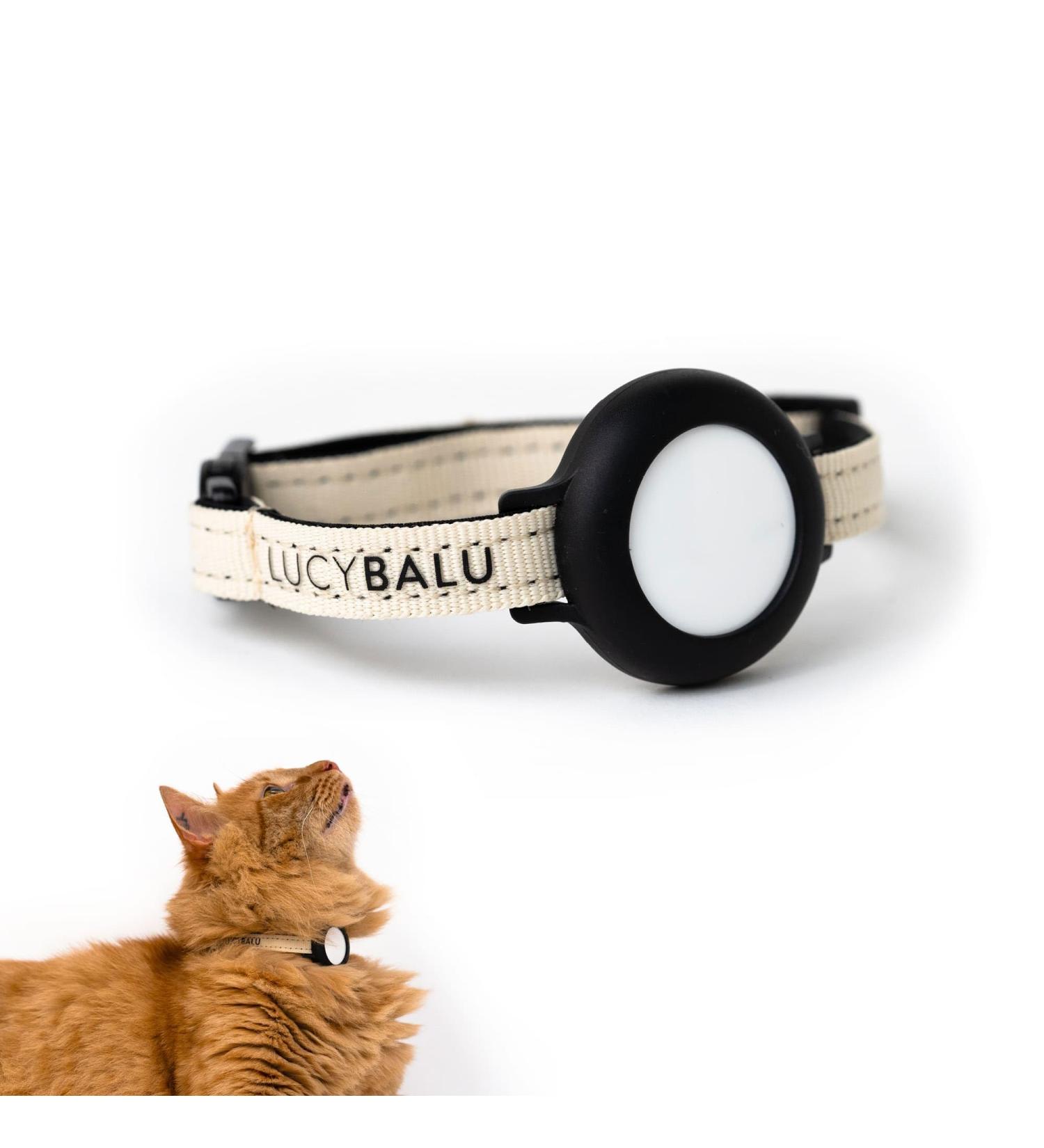 Lucybalu Premium Airtag Katzenhalsband | Tear-Resistant Nylon Cat Collar | Apple Airtag Compatible | Durable Tracker for Cats | Ideal Airtag Collar in Sand - Buy Online on SooperMarket.com
