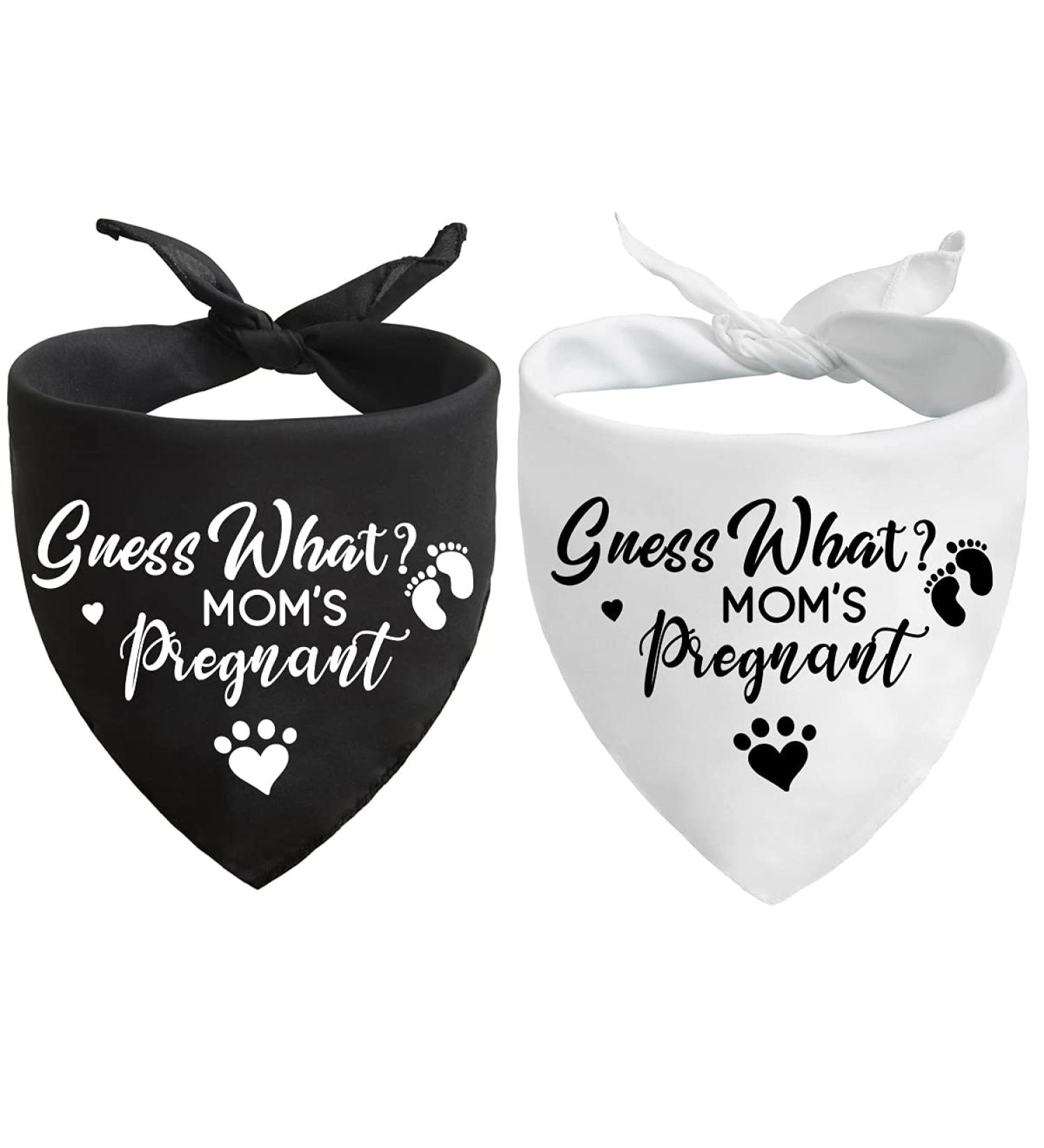 Pregnancy Announcement Dog Bandana Set for Dog Lovers - Gender Reveal Photo Prop and Pet Scarf Decorations - Pack of 2 - Buy Online on SooperMarket.com