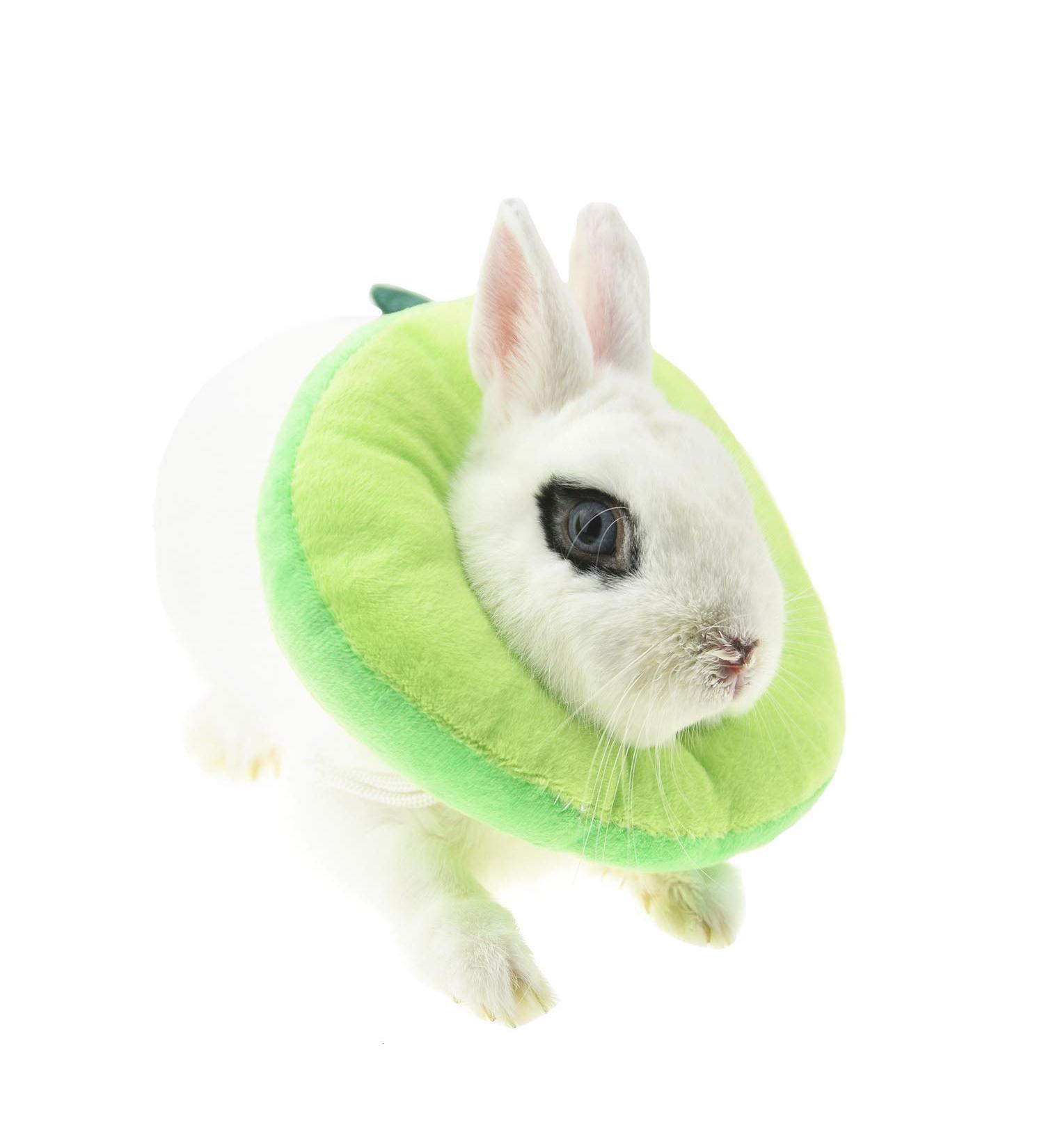 Fladorepet Rabbit Protection Cone & Elizabethan Collar for Small Animals | Avocado Costume (Small 1 Piece) - Buy Online on SooperMarket.com
