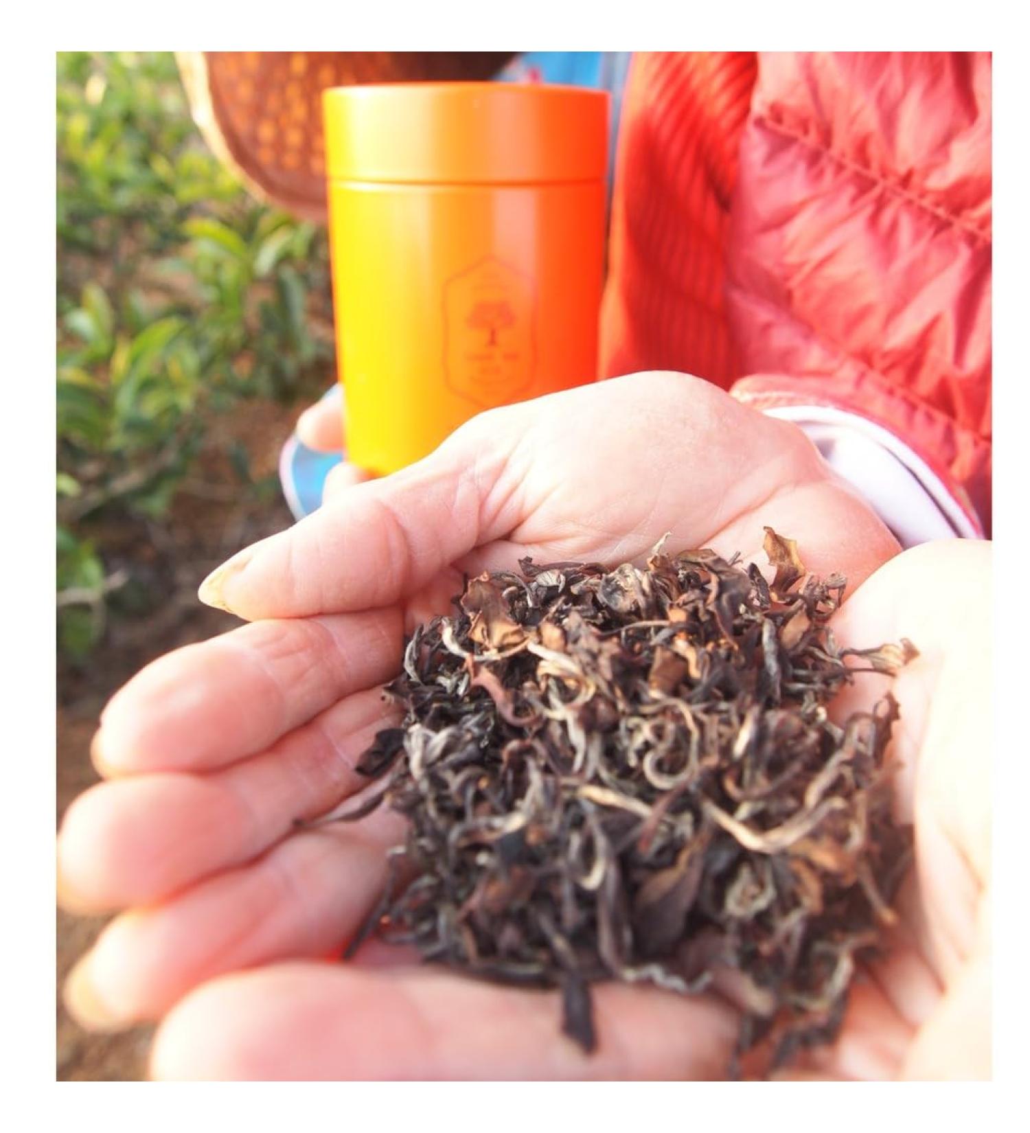 Taiwan unique tea Oriental Beauty tea 75g*4 - Buy Online on SooperMarket.com