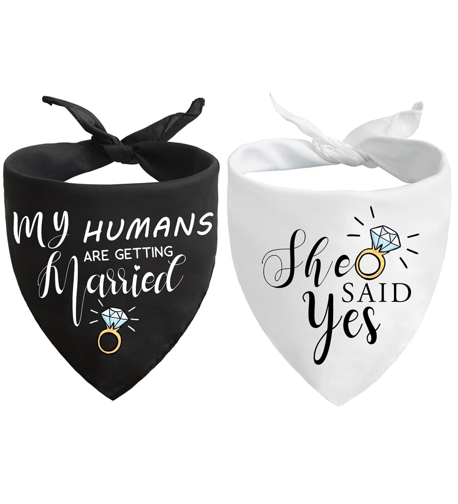 Dog Wedding Bandana Set for Engagement Photos - Pet Scarf Accessories for Dog Lovers - Bridal Shower Gift - Buy Online on SooperMarket.com