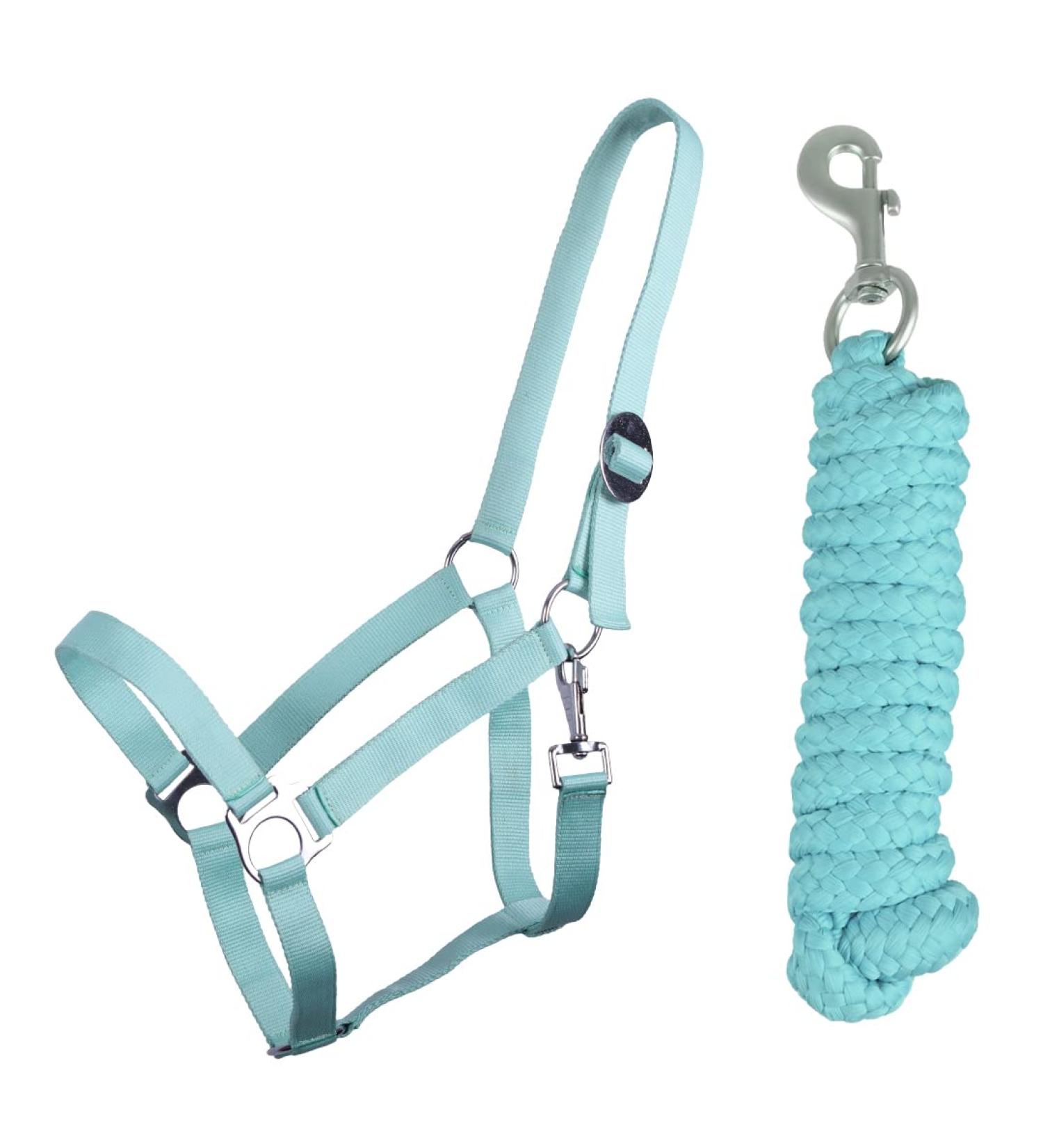 QHP bv Halter Set Beginner Halter + Lead Rope Heavy Snap Hook (Pony Ice Green) Pony ice green