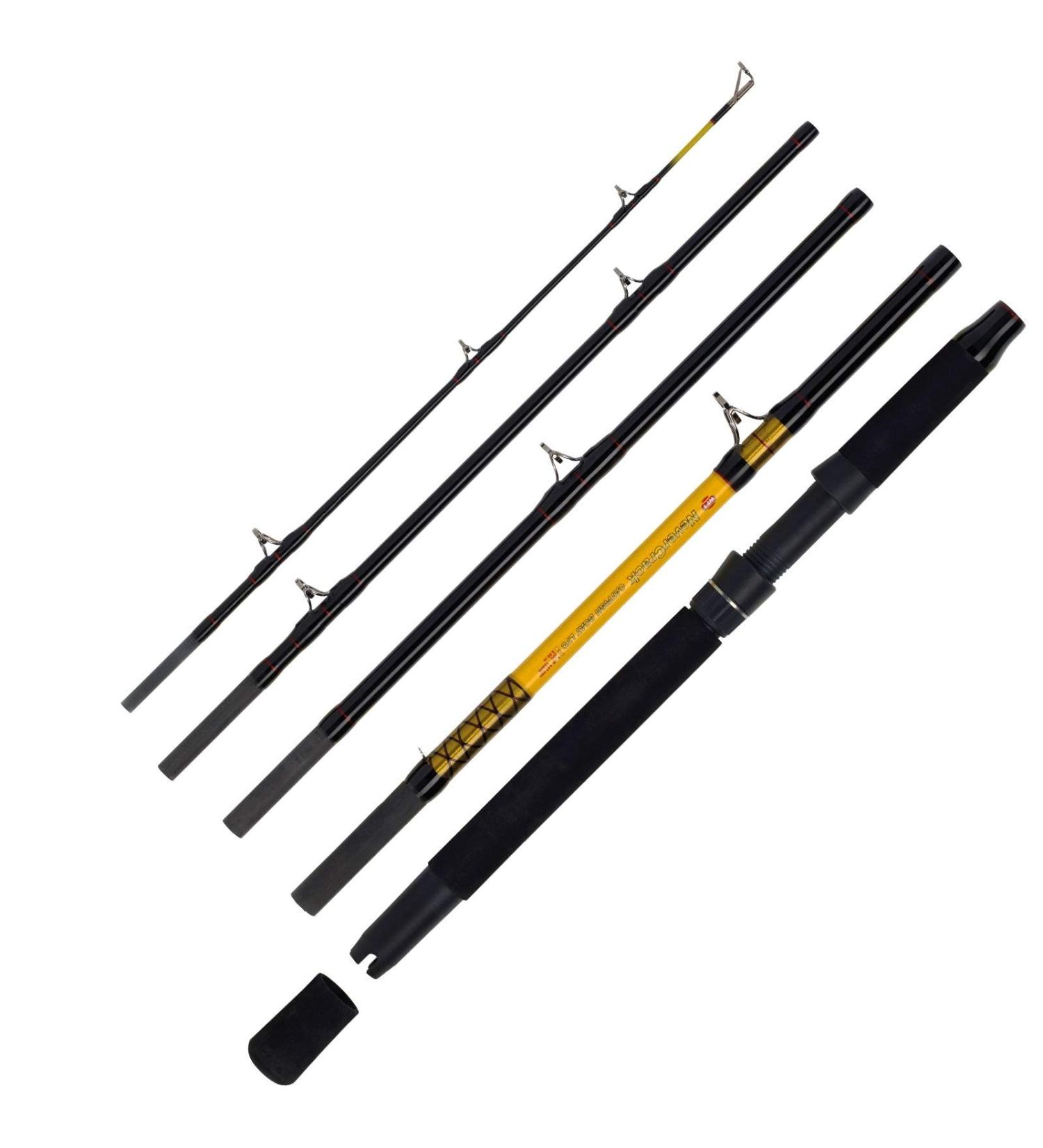 WFT Never Crack Big Cat 5pcs. 200-1000g 2.60m