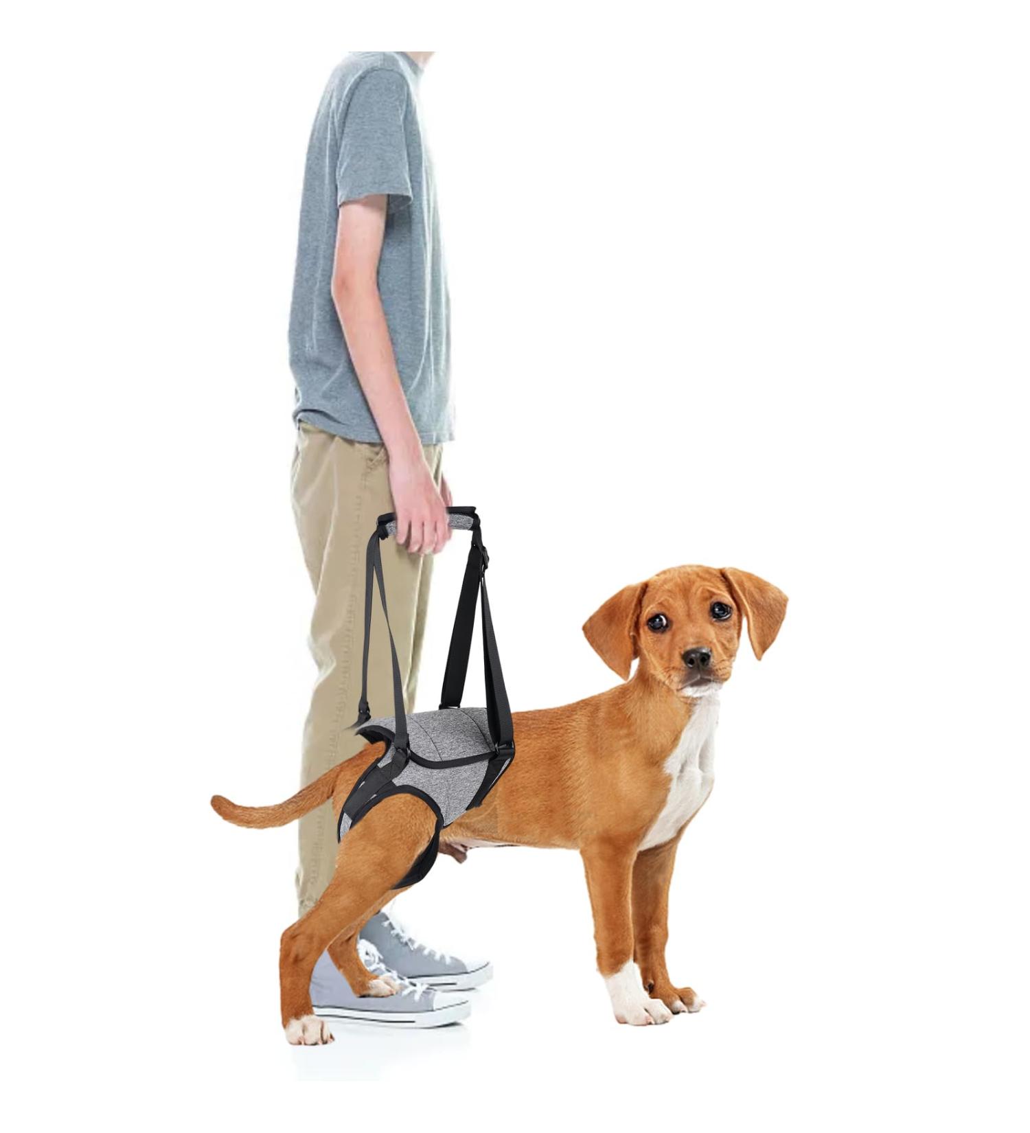Buy Hamon Portable Dog Harness for Hind Legs | Ideal Lifting Aid for Older Sick or Post-Operative Dogs (M) - International Shipping Available - Buy Online on SooperMarket.com