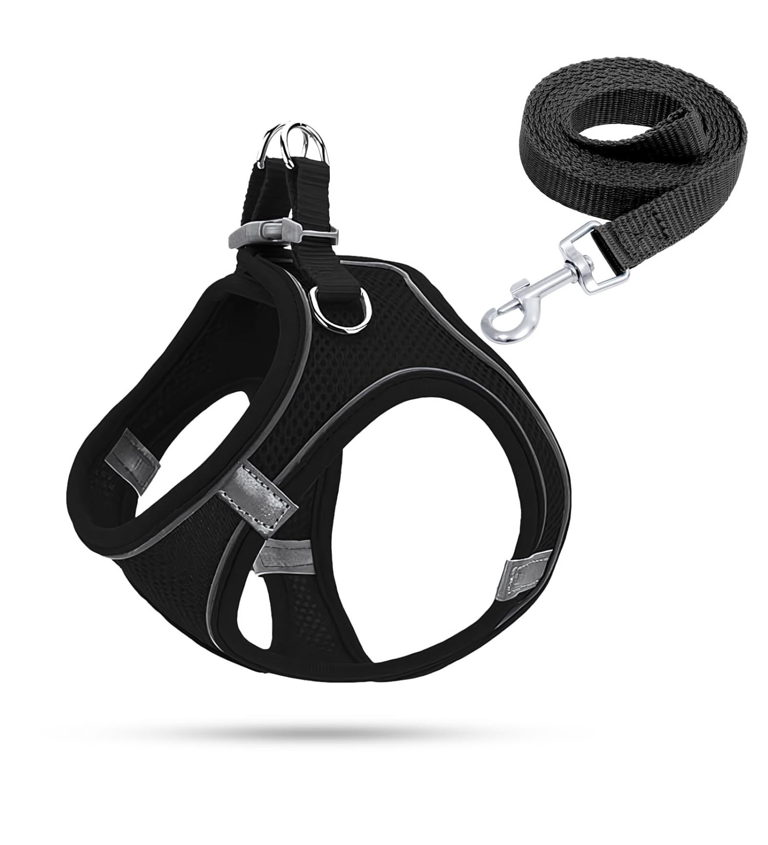 Shop Small Dog Harness & Puppy Dishes - Curli Harnesses & Catware for XS Dogs - Buy Online on SooperMarket.com