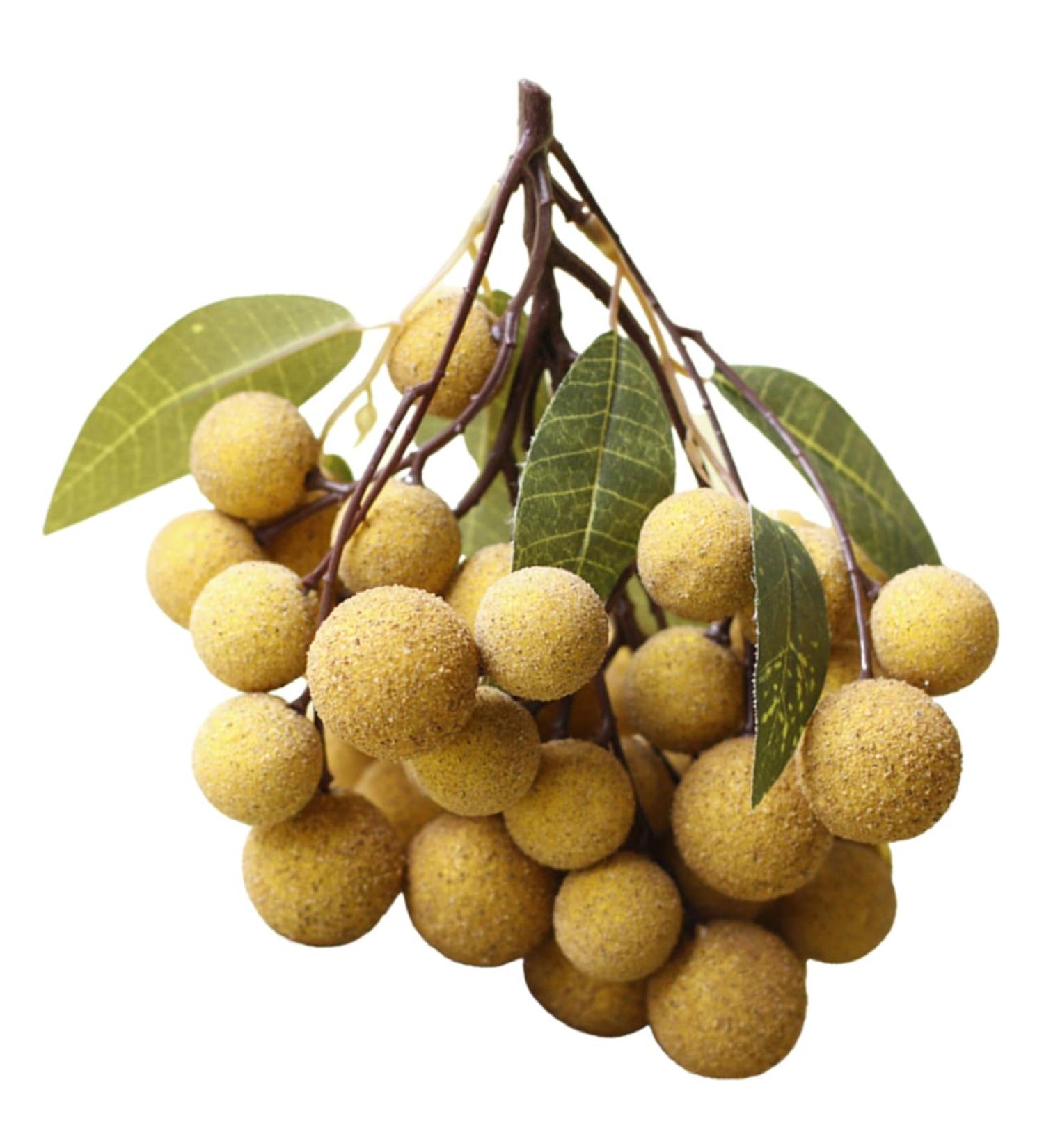 Ciieeo Doll House Diy Toy Fake Longyan Model Kitchen Fruit Longan Model Fruit Photography Props Fake Longan Decor Simulation Fruit Simulation Fake Fruit Faux Fruit Plastic Peach Miniature Khaki 18x18cm - Buy Online on SooperMarket.com