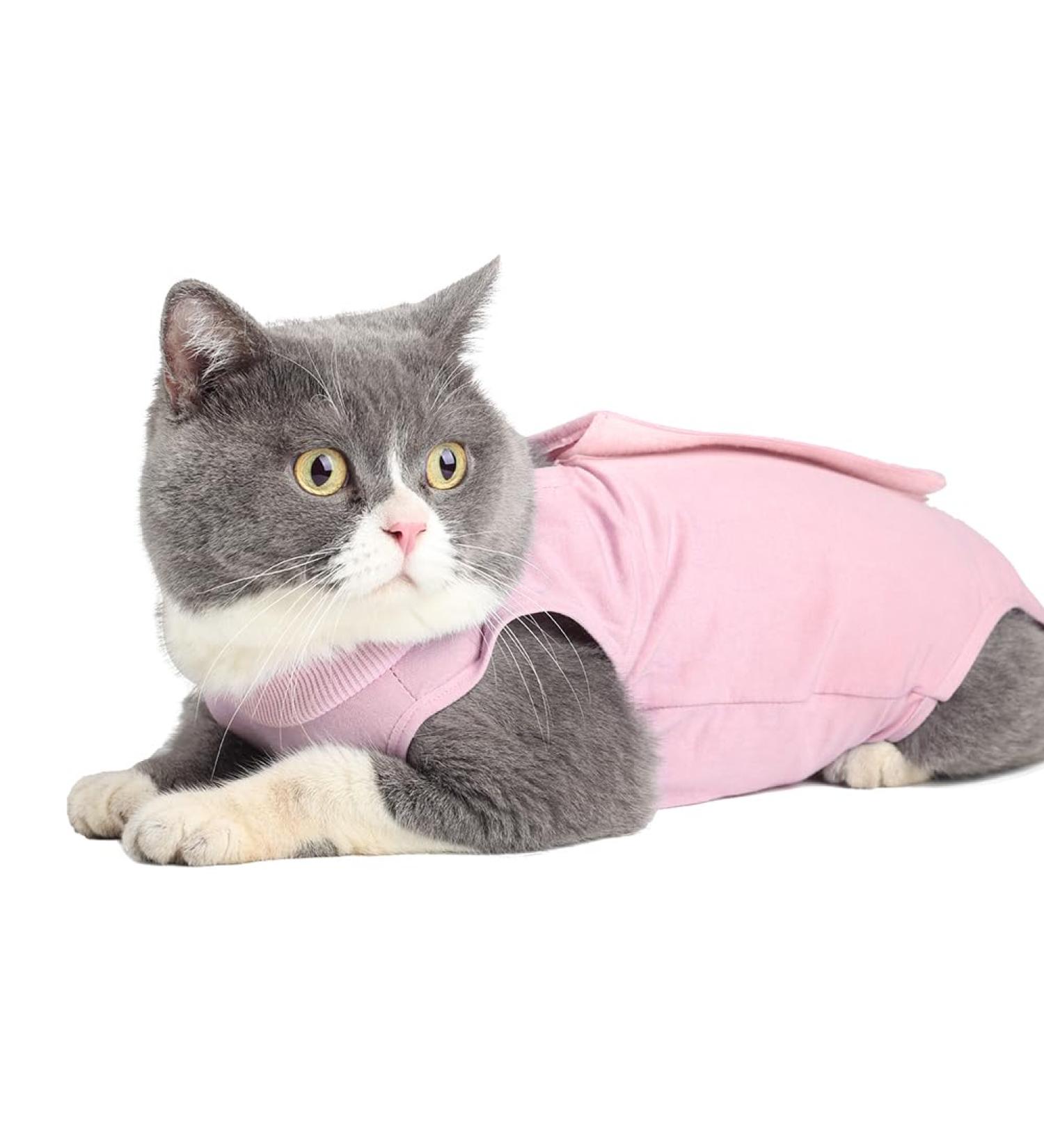 EASY JOY Cat Surgery Recovery Suit for Abdominal Wounds or Skin Diseases Cat Medical Surgical Clothes Onesies After Surgery E-Collar Alternative Kitten Post-Operative Recovery Vest Shirt (M Pink) M Pink1 - Buy Online on SooperMarket.com