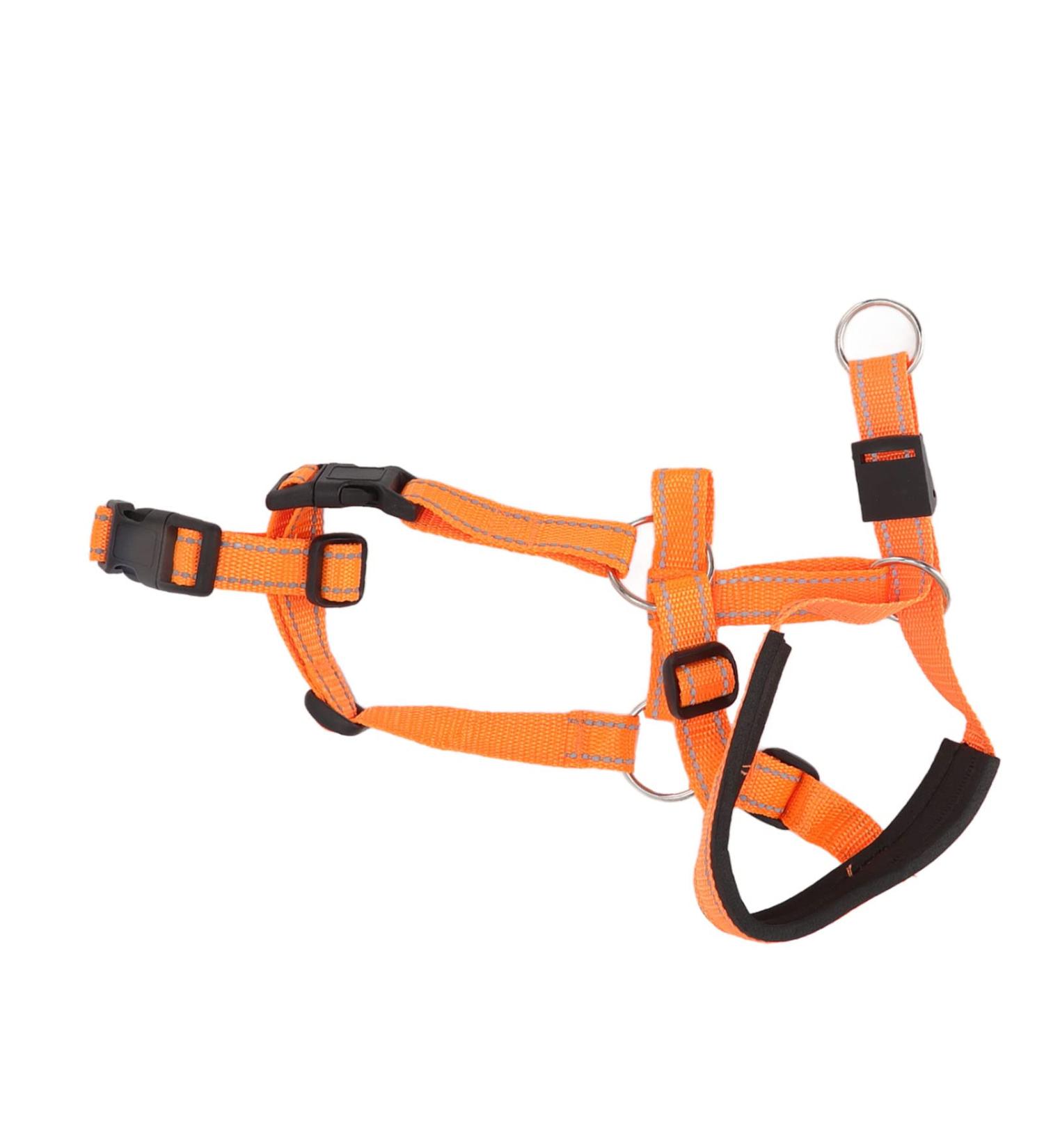 Dog Handlebars with Seat Belt - XL Orange Pet Halter for Safe Outdoor Walking | Prevent Pulling - Buy Online on SooperMarket.com