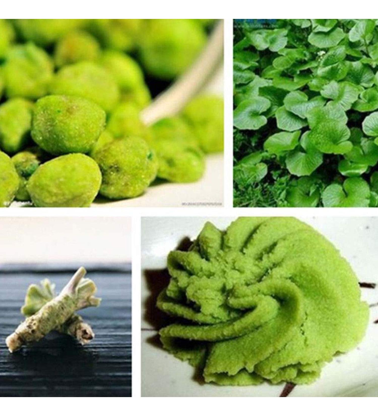 Portal Cool 100 Pz Wasabi Semi di rafano giapponese di Verdure Herb Spice DIY impianto Nizza