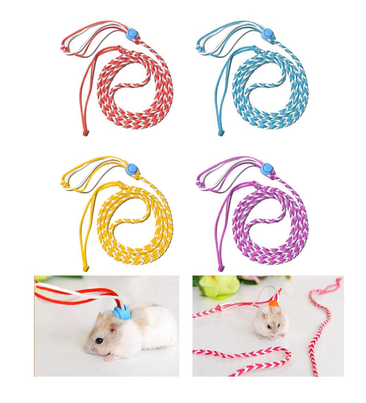 AsoCea 4-Piece Hamster Dishes & Adjustable Nylon Running Line for Guinea Pigs Chinchillas Ferrets Rats Mice & Squirrels - Ideal Pet Accessories - Buy Online on SooperMarket.com