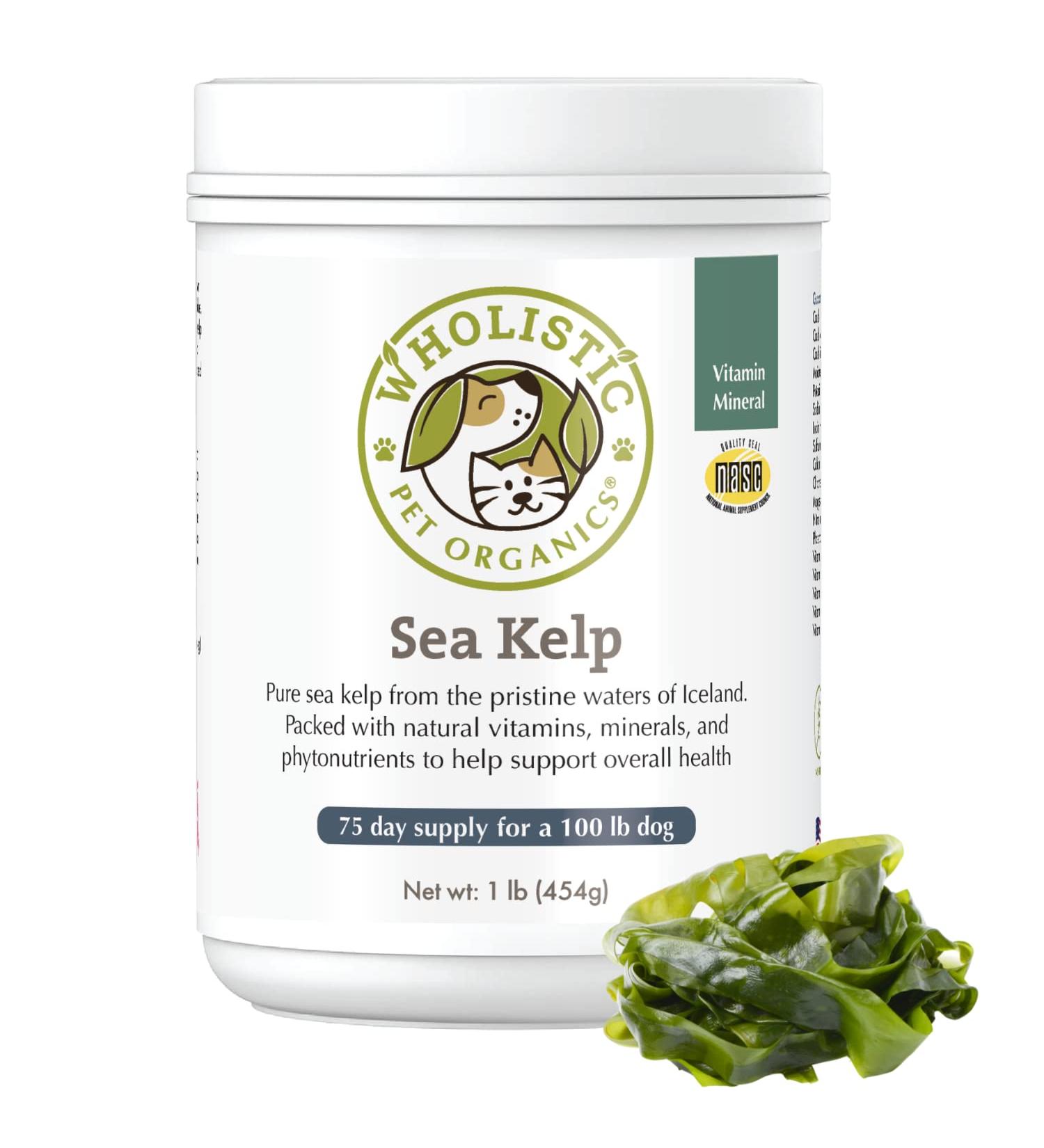 Organic Wholistic Pet Organics Sea Kelp Powder for Dogs - Promotes Healthy Teeth, Thyroid Function, Skin & Coat - Rich in Iodine, Iron, Calcium & Antioxidants - 1 lb - Buy Online on SooperMarket.com