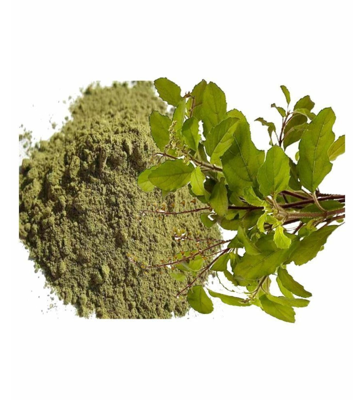 Tulsi powder 100g natural Holy Basil Queen of Herbs tulasi Indian Basil Dried Tulsi loose Leaves.