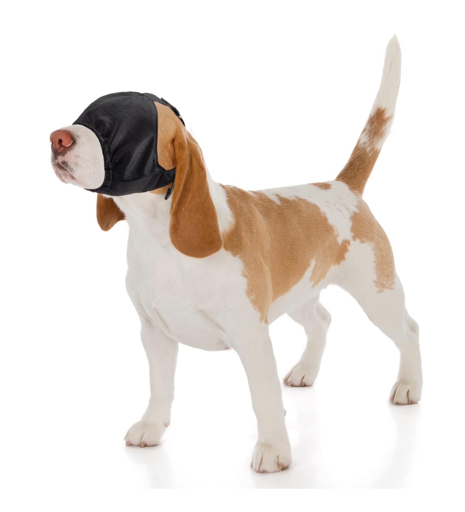 Pet Calming Cap - Fabric Anxiety Noise Cancelling for Dogs - Anti Car Sickness - Medium - Buy Online on SooperMarket.com