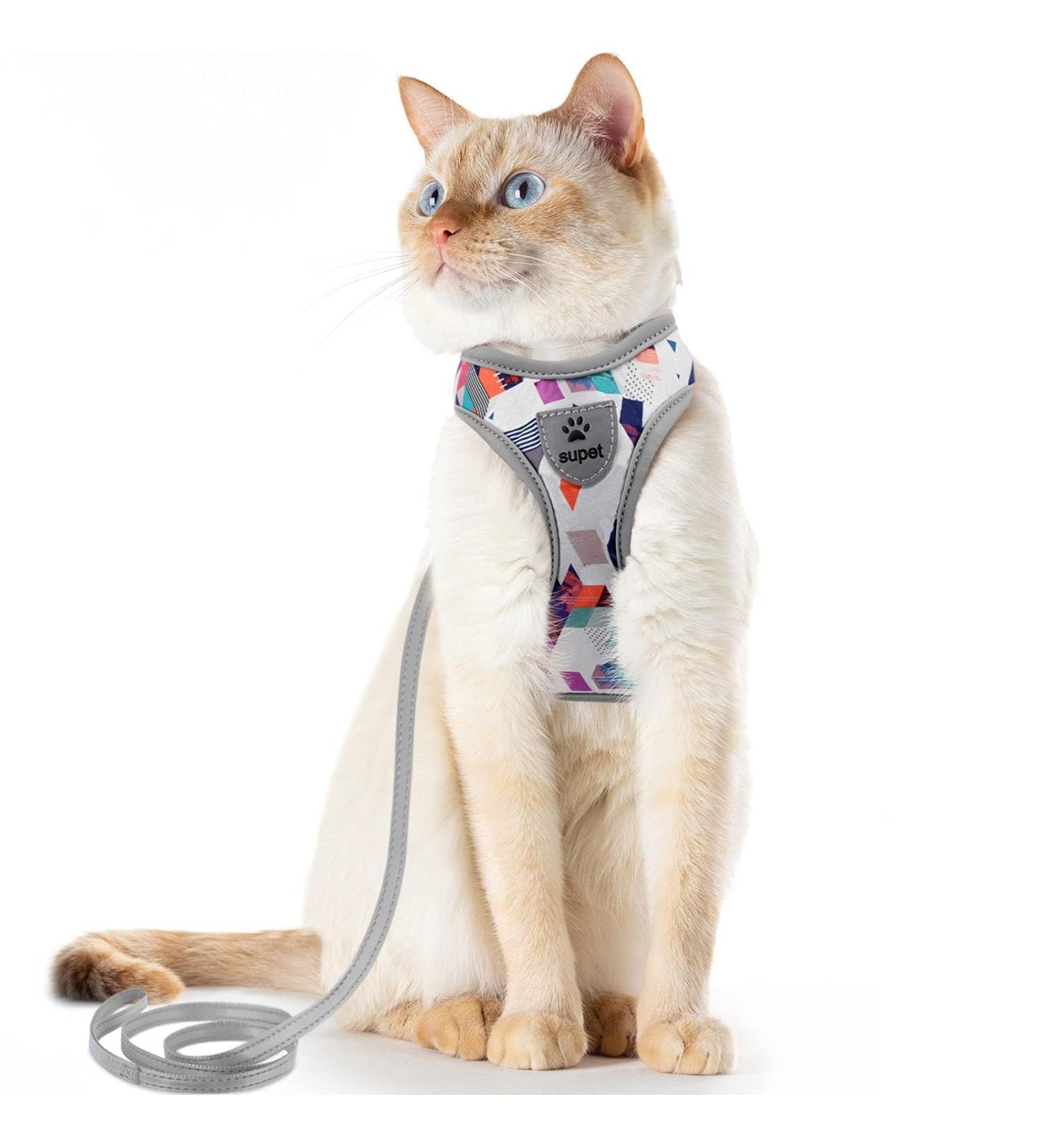 Supet Cat Dishes & Line Set - Perfect Feeding Solution for Kittens | International Shipping Available - Buy Online on SooperMarket.com