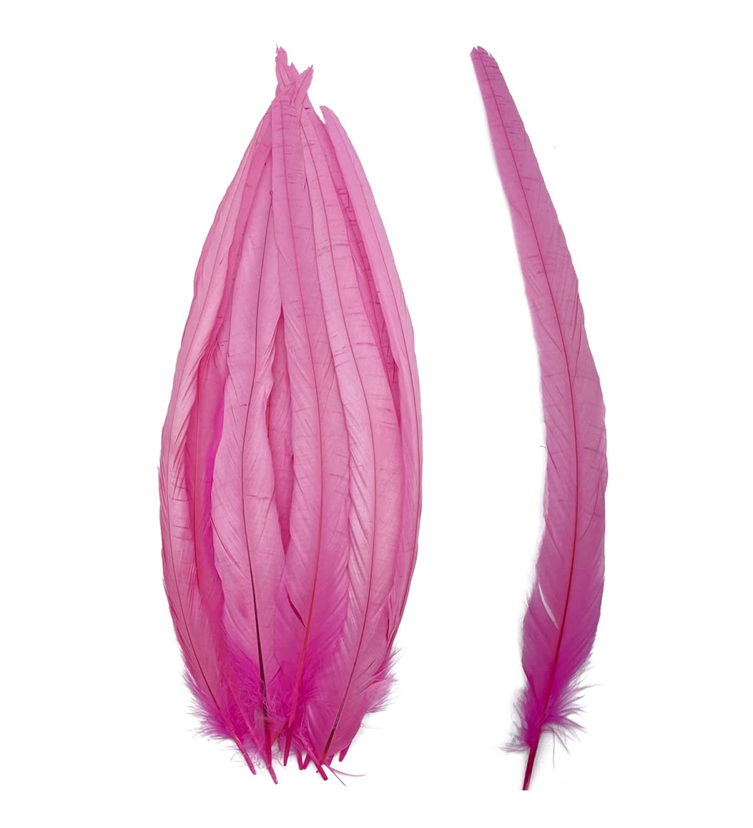 50pcs Pink Rooster Coque Tail Feathers 13-16 Inches - Hat Costume & Craft Decoration - Buy Online on SooperMarket.com