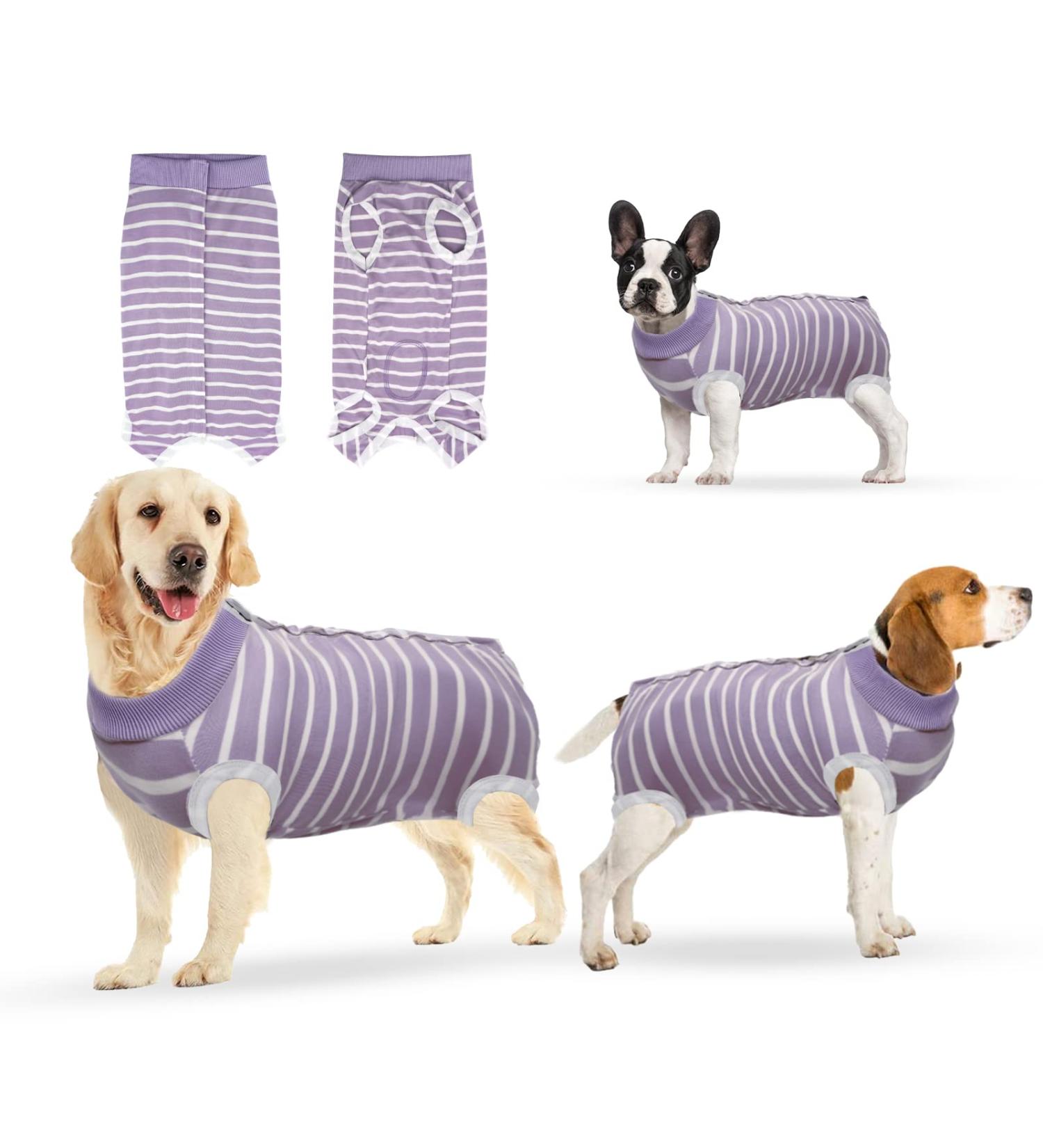 oUUoNNo Recovery Suits for Dogs Cats Surgical Recovery Suit for Female Male Abdominal Wounds Spay or Skin Diseases Cone E-Collars Alternatives Anti-Licking Pet Vest Post Surgery (XXXL Purple stripe) XXXL Purple stripe - Buy Online on SooperMarket.com