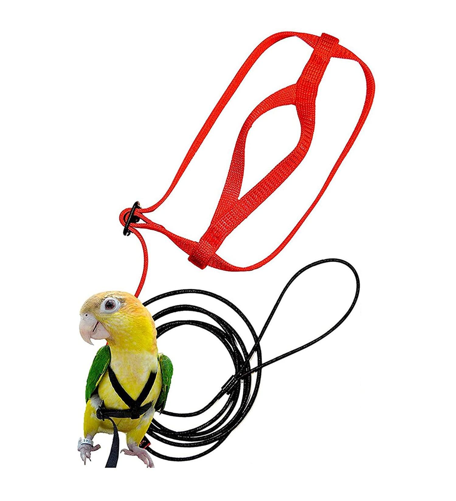 Premium Bird Leash & Dishes - Anti-Bite Flight Training Rope for Small Birds | Perfect for Nymphensittich & Outdoor Use - Buy Online on SooperMarket.com