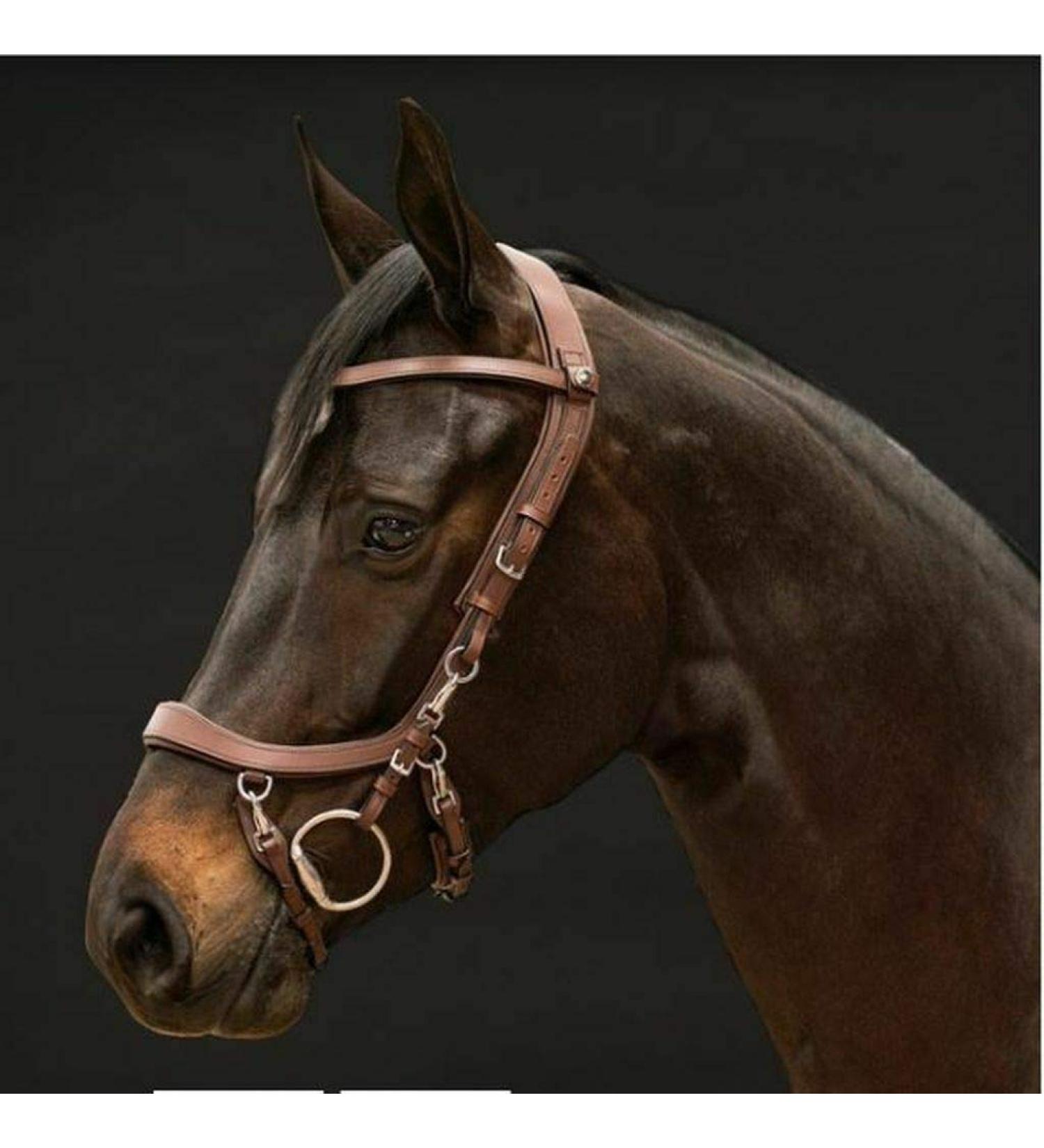 Buy PresTeq FaySport Snaffle Bridle - Brown Warmblood Extra | International Shipping Available - Buy Online on SooperMarket.com
