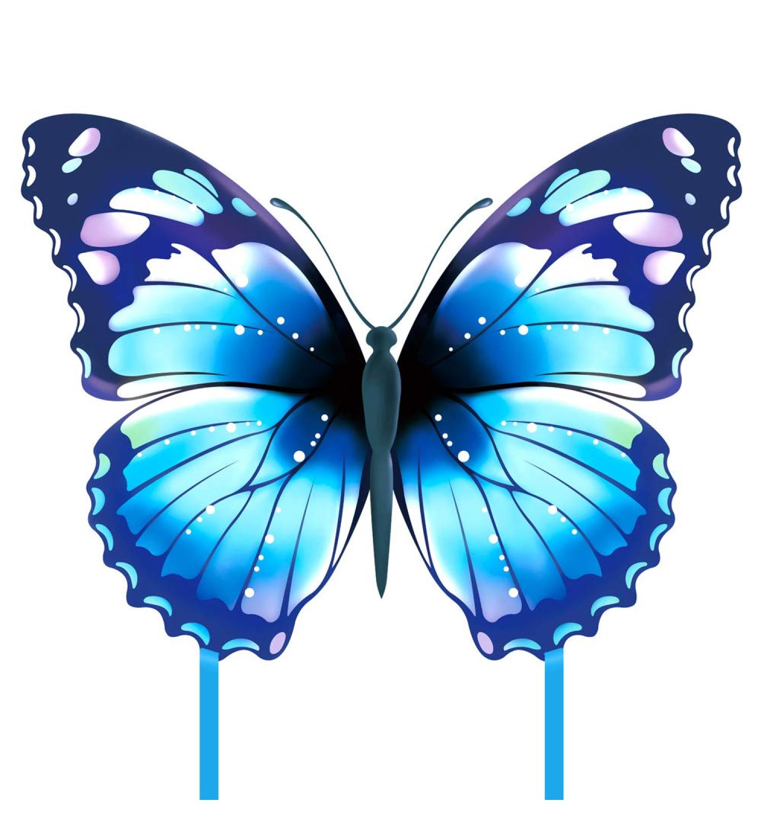 Mint's Colorful Life Butterfly Kite - Easy-to-Fly Large Single Line Kite for Kids & Adults | Perfect for Beach Fun | 300 FT String & Kite Handle Included (Blue) - Buy Online on SooperMarket.com