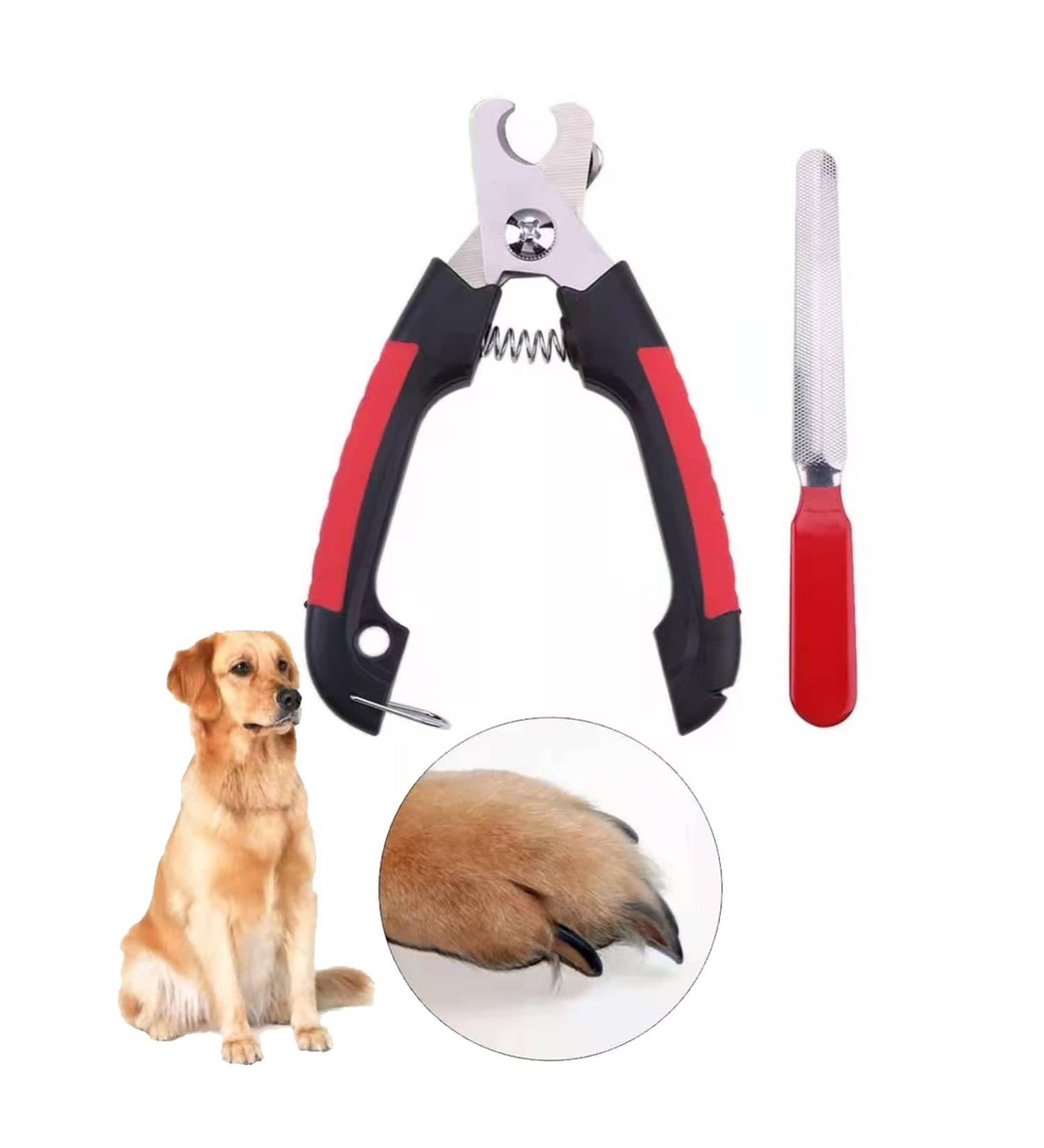ZLXFT Nail Scissors for Dogs and Cats Rabbit Nail Scissors Stainless Steel Claw Clippers Claw Care Cutter for Pets Claw Care for Small Animals - Buy Online on SooperMarket.com