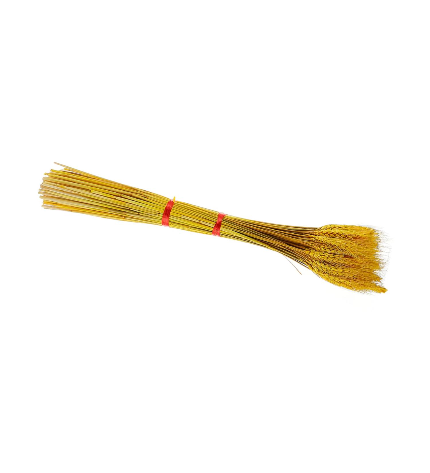 Abaodam 100pcs Dried Wheat Ears Bouquet Dried Rabbit Tail Grass Dried Floral Dried Wheat Stalk Picks Decked Wedding Ceremony Decorations Desktop Wheat Ear Rural Dried Flowers. Real Flower Yellow 52X10CM - Buy Online on SooperMarket.com