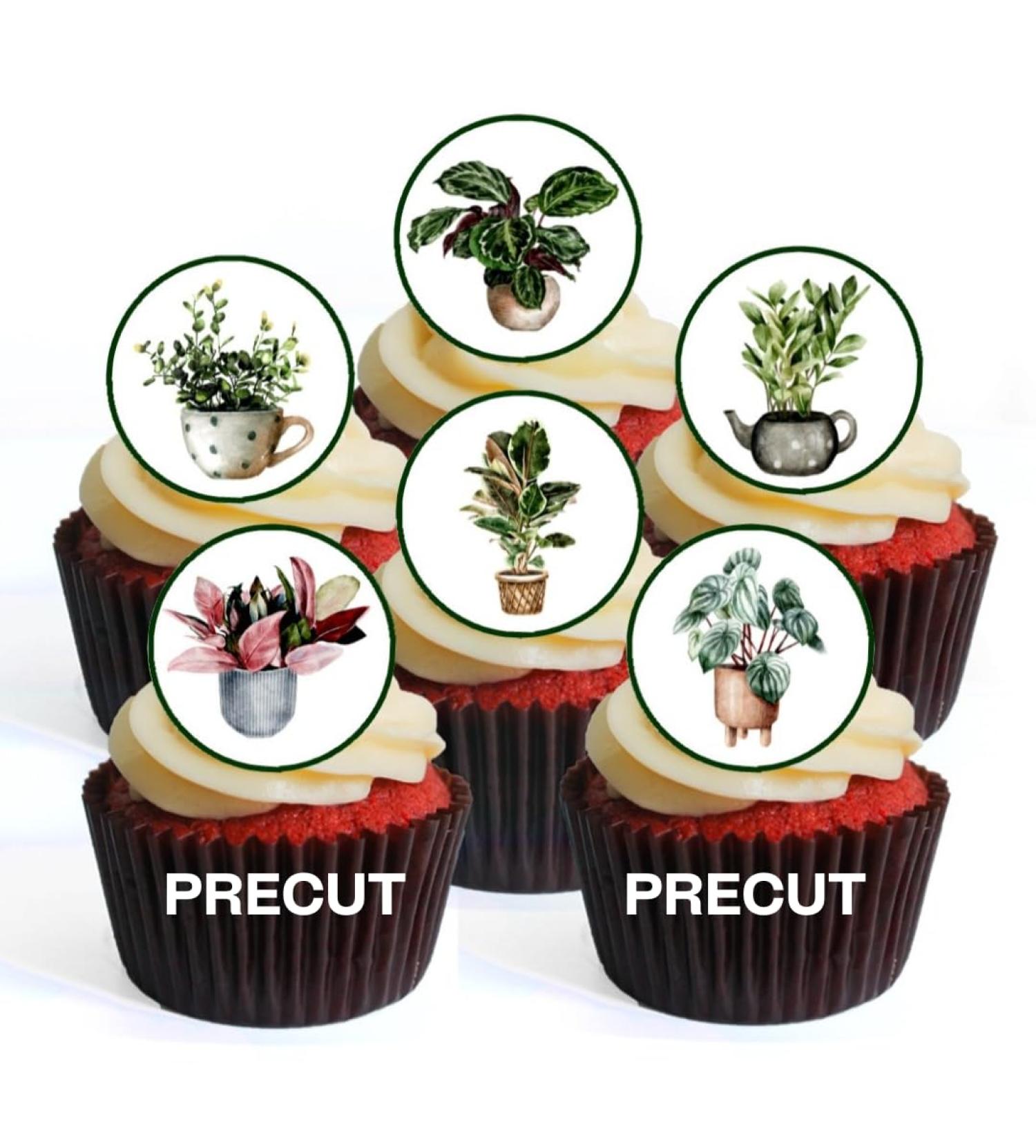 PRECUT Plants Edible Cupcake Toppers - Crazy Plant Lady Theme Premium Thickness SWEETENED VANILLA - wafer card disc cake decorations (Pack of 12) - Buy Online on SooperMarket.com