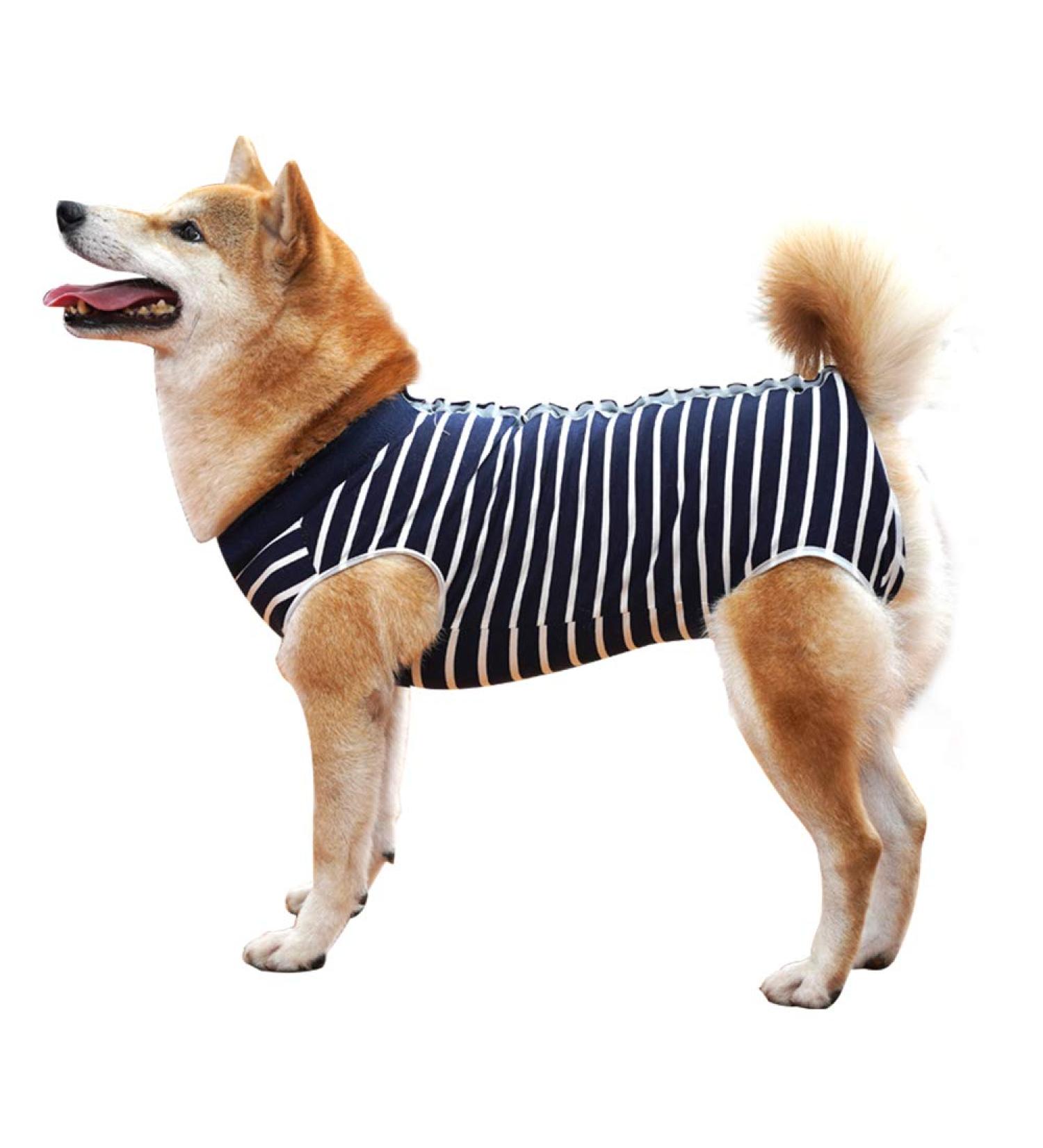 Heywean Dog Recovery Suit - Post-Surgery Protection Bodysuit for Dogs XL | Medical Dog Shirt for Castration Wound Care - Blue - Buy Online on SooperMarket.com