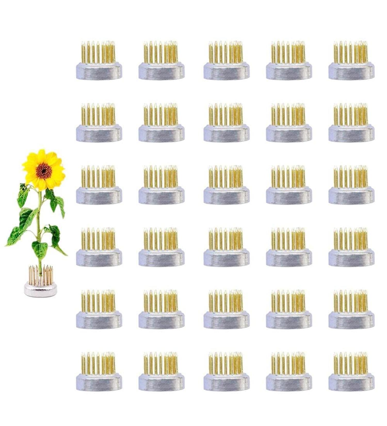 Eggone Flower Frog Mini Kenzan 23mm - 30 Pack - Buy Online on SooperMarket.com