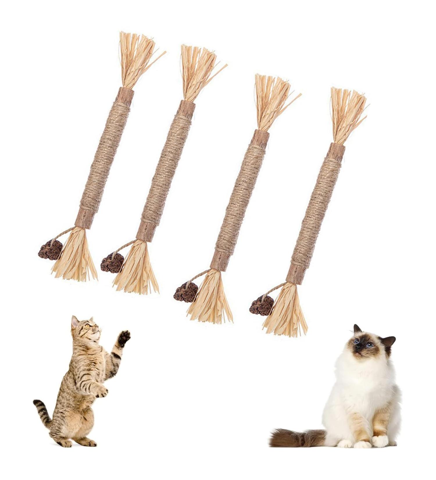 HBINGL Silvervine Chew Sticks for Cats 4 pcs Brown Catnip Chew Sticks for kitten Cat Teeth Nip Cleaning Teeth Chew Catnip Toys Natural Cat Teeth Nip Cleaning Catnip for Indoor Cats - Buy Online on SooperMarket.com