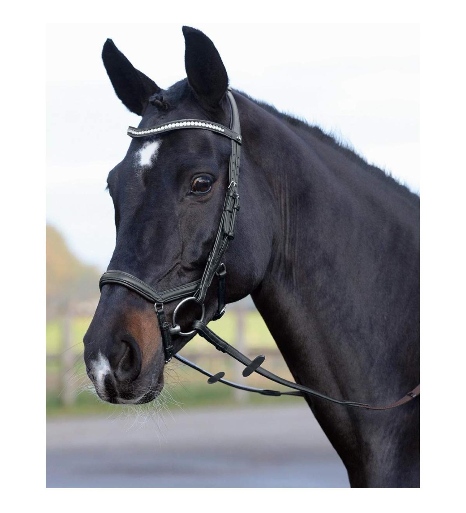 Buy Busse Bridle Emotion Black/Crystal for Ponies - Premium Quality & International Shipping - Buy Online on SooperMarket.com