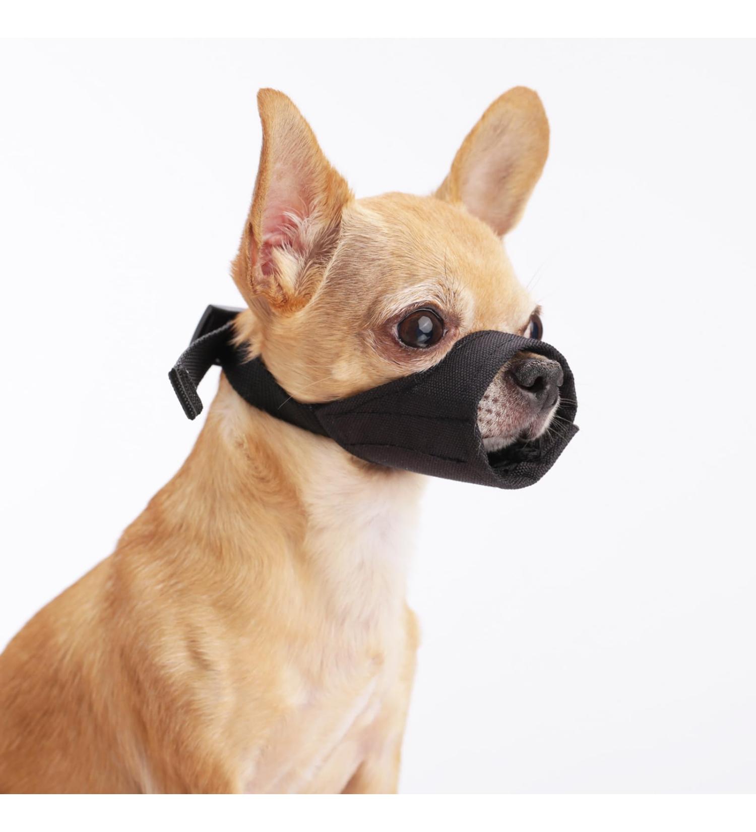 YOLHAMY Soft Dog Muzzle for Little Dogs - Short Snout Mask for Chihuahua Shih Tzu Bulldog & Pitbull - Barking & Poison Bait Protection - Buy Online on SooperMarket.com