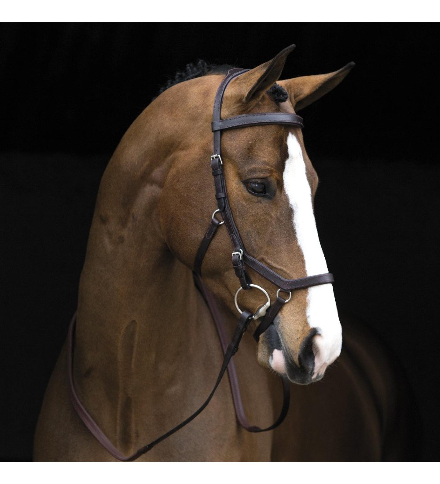 Ireland Rambo Micklem competition bridle dark havana Small Horse