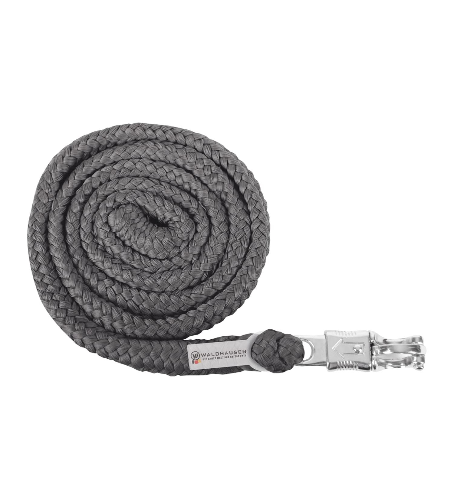 WALDHAUSEN tie rope Economic - panic hook anthracite