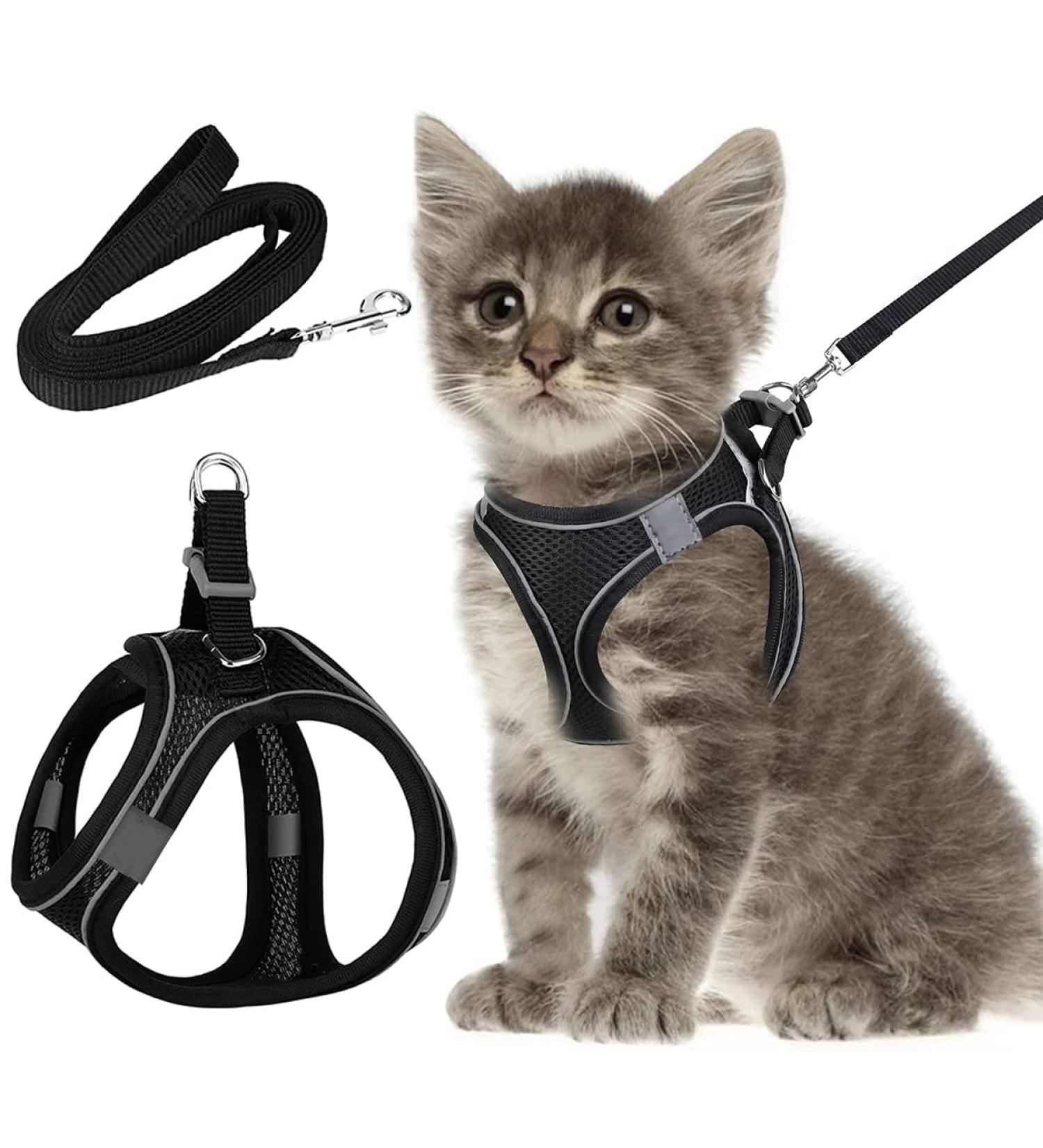 Escape Proof Cat Harness Set with Lead for Cats - XS Size - Buy Online on SooperMarket.com