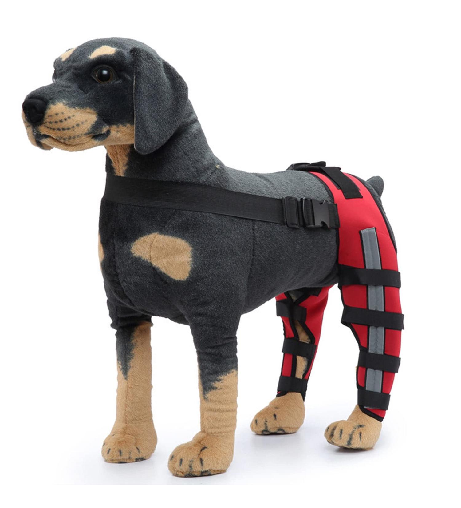 Knee Brace for Dogs ACL with Reflective Strips Knee Dislocation Arthritis Keeps The Joint Warm and Stable Extra Support Reduces Pain and Inflammation (XS) - Buy Online on SooperMarket.com