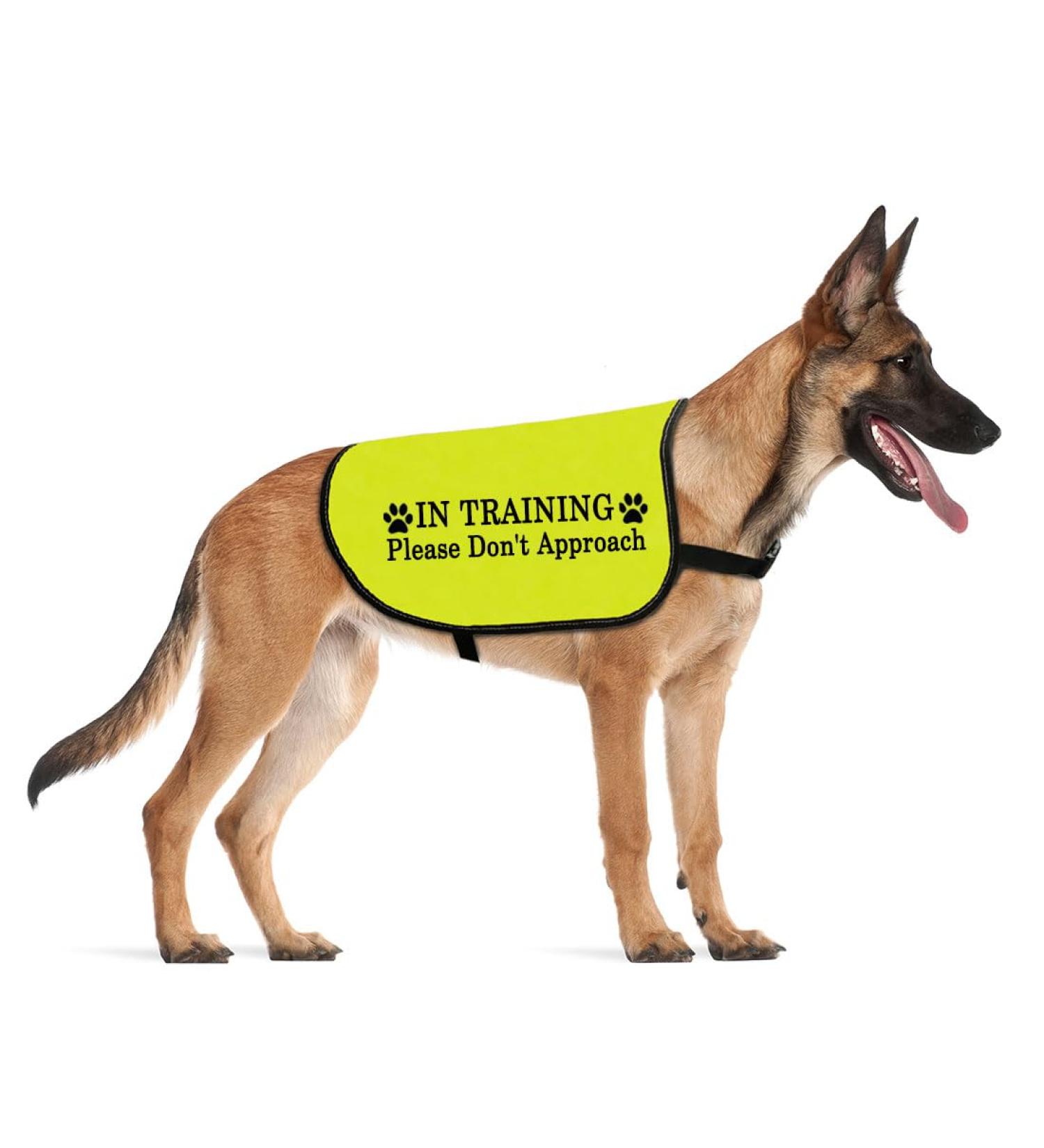 In Training Please Don't Approach/Ask Before Petting Me Dog Jacket Vest Alert Slogan Warning Vest (Don't Approach Large) Don't Approach L EU - Buy Online on SooperMarket.com