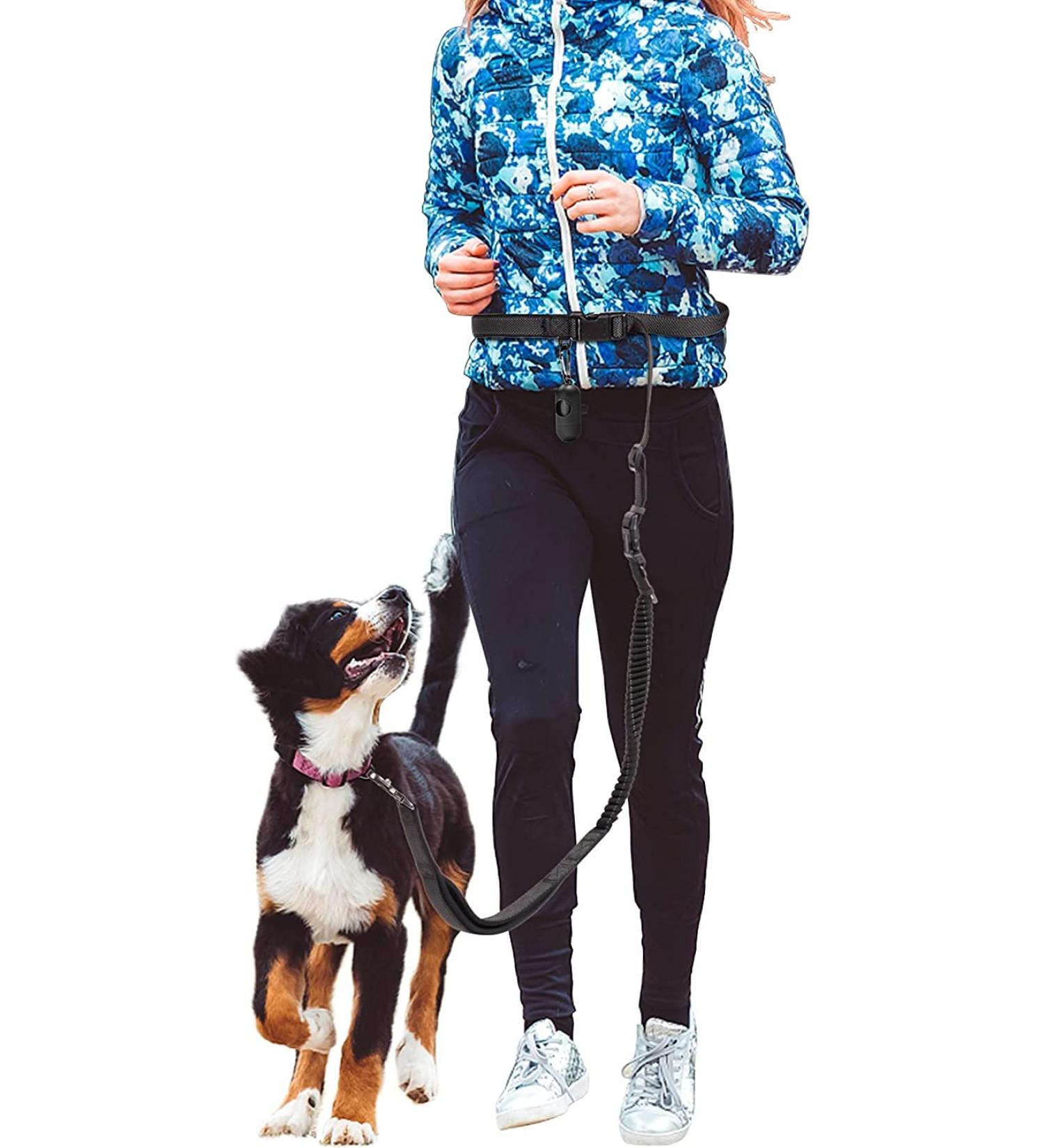 Hands Free Running Dog Lead - Retractable 7FT Long Training Leash for Medium Large Dogs - Reflective Nylon Tape - Ideal for Walking, Hiking, Jogging - Car Seat Belt Leash - Black - Buy Online on SooperMarket.com