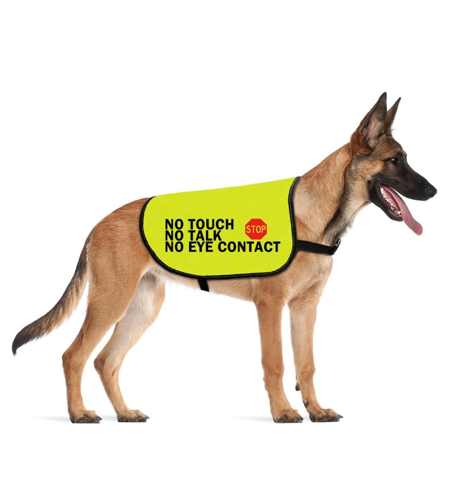 Nervous Dog Jacket Vest Service Dog Working Dog Anxious Dogs Scared Dogs Slogan Warning Vest (NO TOUCH Large) - Buy Online on SooperMarket.com