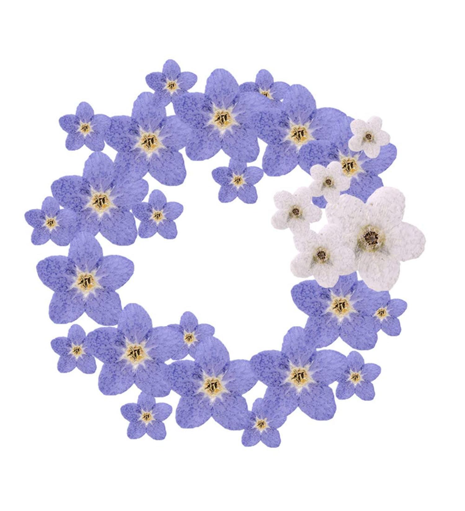 YUNZHI Forget Me Not Flowers - Dried Pressed Flowers for Resin, Candle, Soap Making - 40pcs/Pack - Buy Online on SooperMarket.com