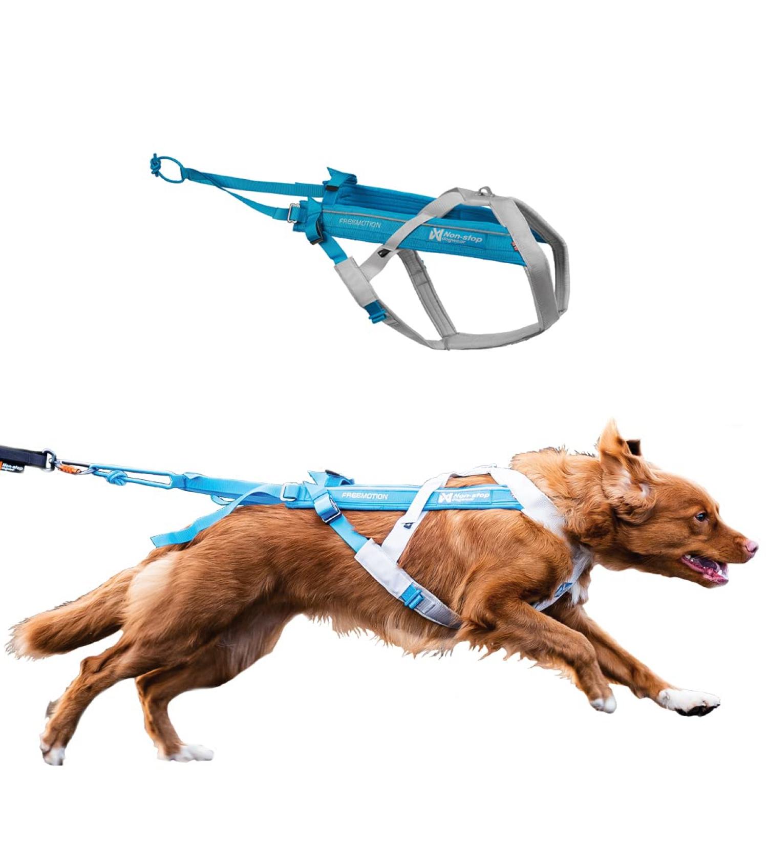 Buy Non-stop Dogwear FREEMOTION Harness 5.0 | Blue/Grey | Sports Dog Harness | Size 5 - Perfect for All Activities - Buy Online on SooperMarket.com