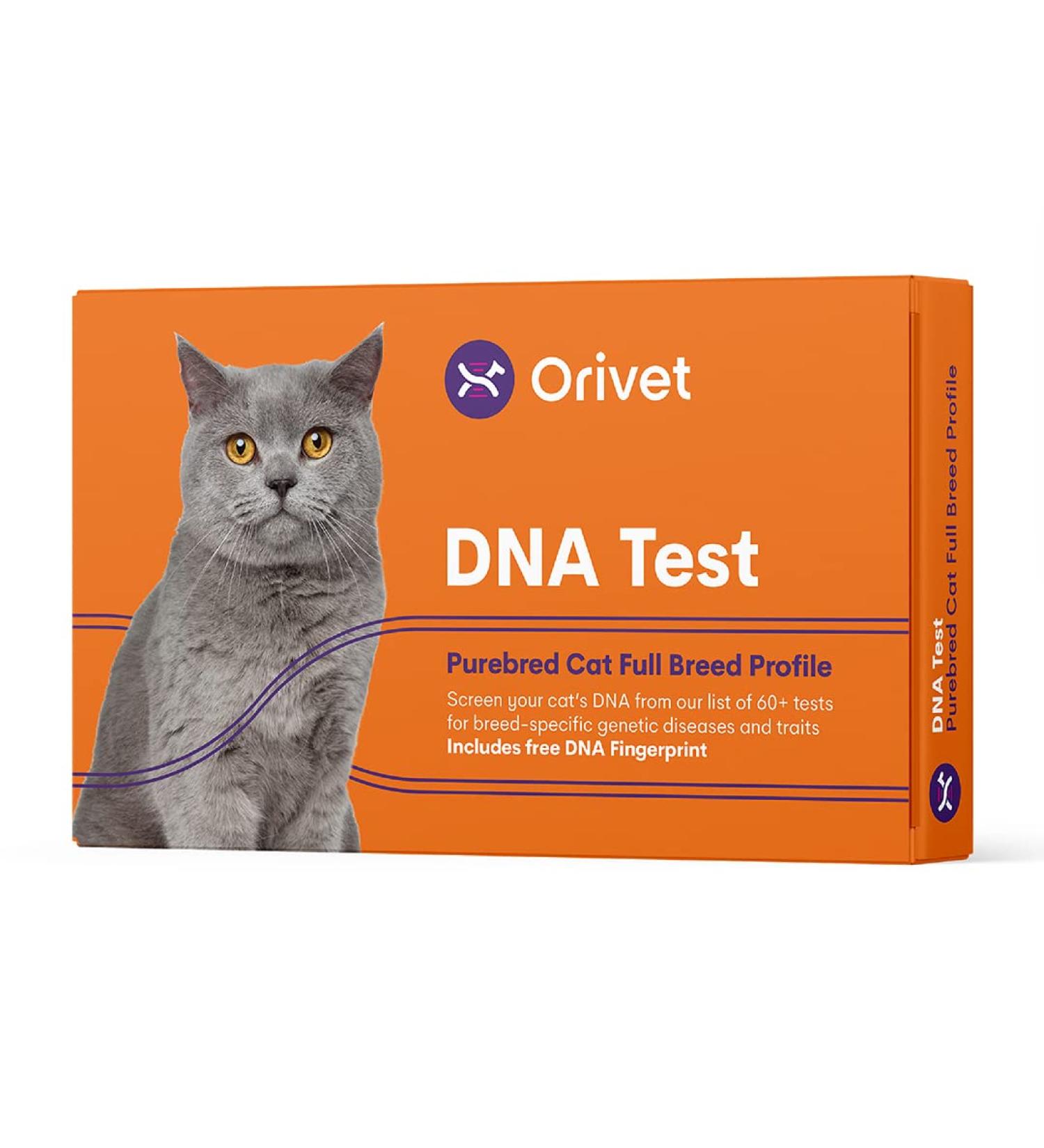 ORIVET Cat Breed DNA Test - 1 Pack | Comprehensive Genetic Health Screening & LifePlan | At Home Cheek Swab | Accurate & Fast Results - Buy Online on SooperMarket.com