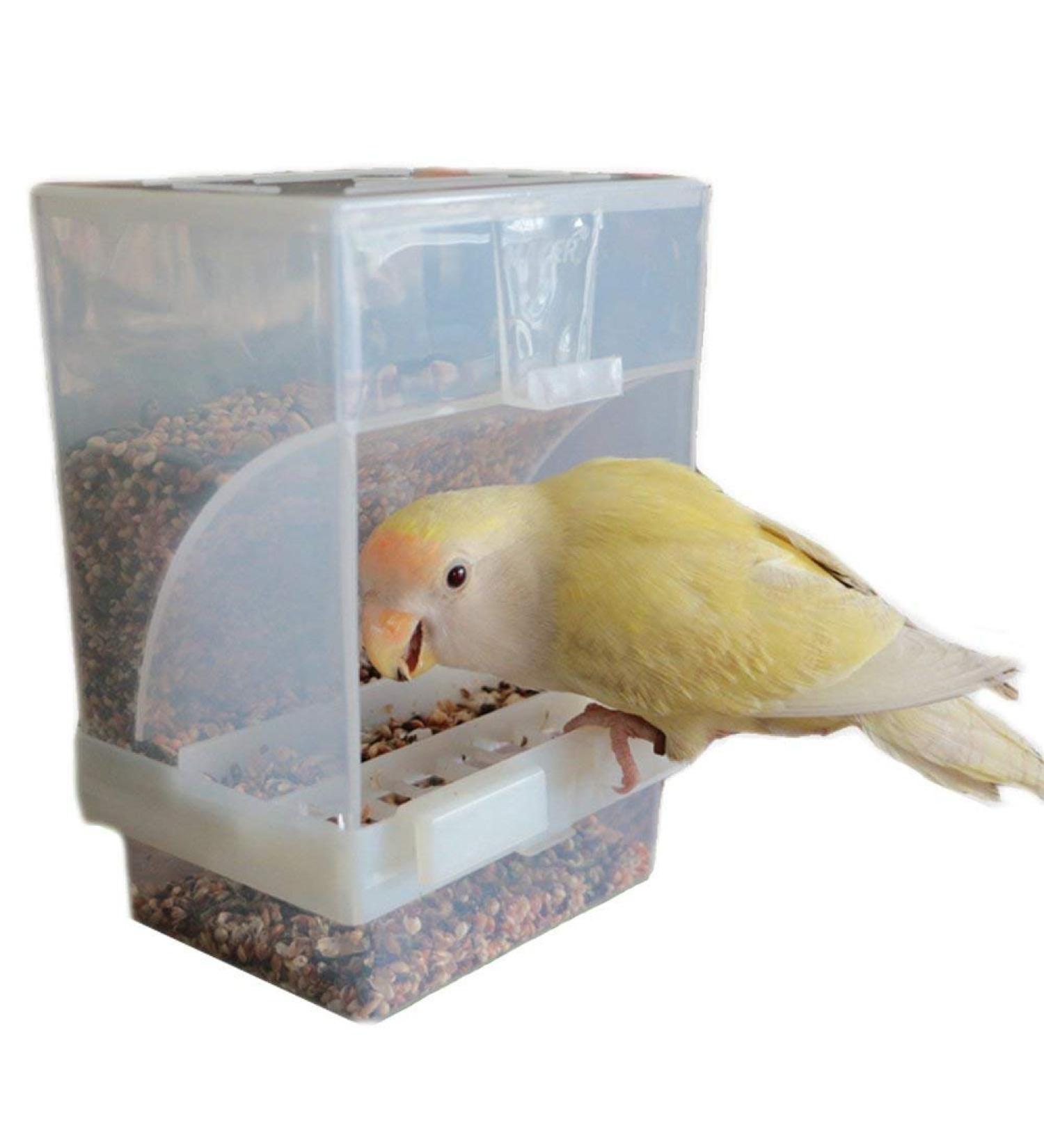 Hypeety Automatic Bird Feeder: No Mess Seed Food Container for Budgerigar, Canary, Cockatiel, Finch, Parakeet - Cage Accessories - Buy Online on SooperMarket.com