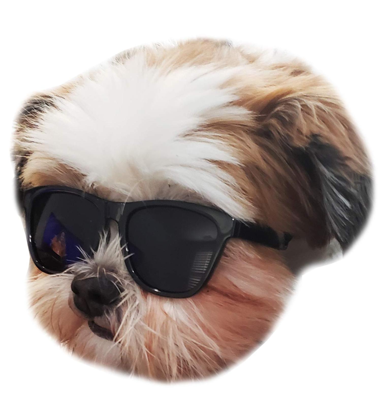 80s Style Pet Sunglasses for Small Dogs (Black) - Up to 15lbs - Buy Online on SooperMarket.com