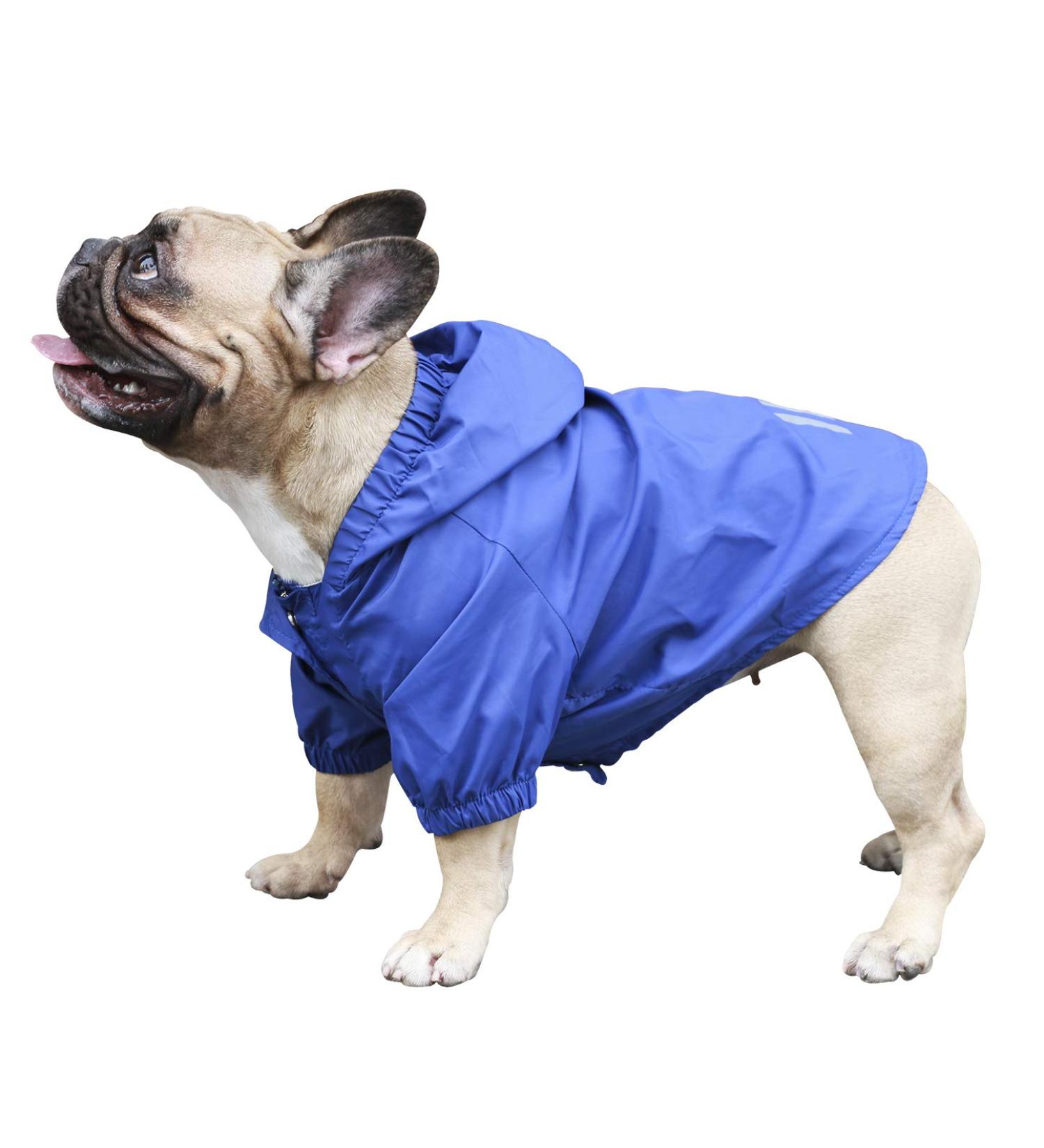 iChoue Lightweight Dog Raincoat Hooded Jacket for French Bulldog Shiba Inu - Blue/Size M - Buy Online on SooperMarket.com