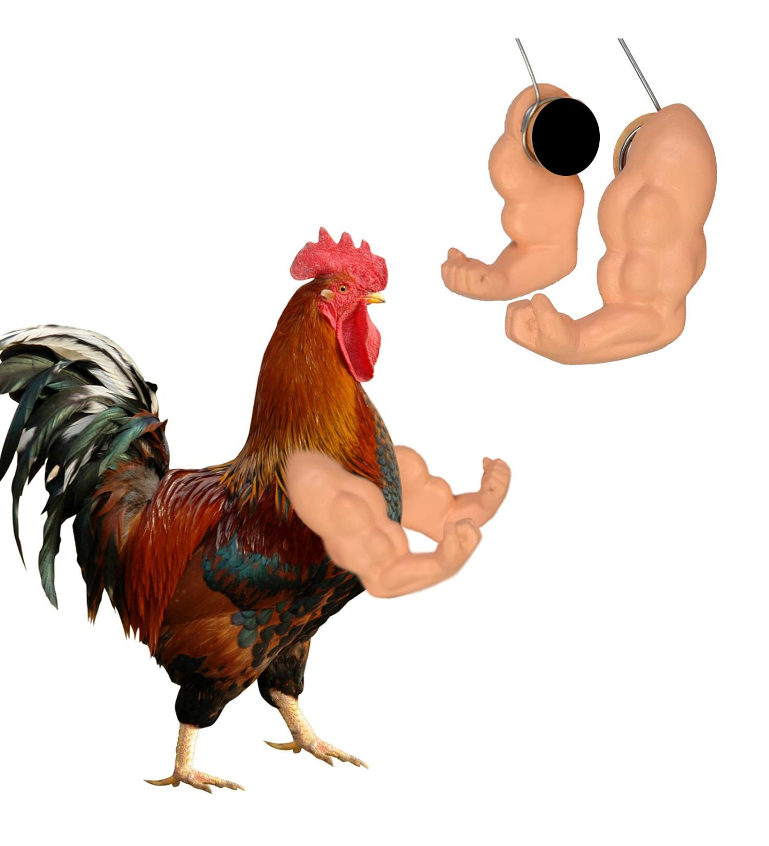 FUAMEY Muscle Chicken Arms Toys for Chickens to Wear  Funny Costume Fist Fighting Arms Toy for Pet Prank Themed Party  Artificial Arms Decorations Costume Cosplay for Chickens Rooster Hens Upgraded version - Buy Online on SooperMarket.com