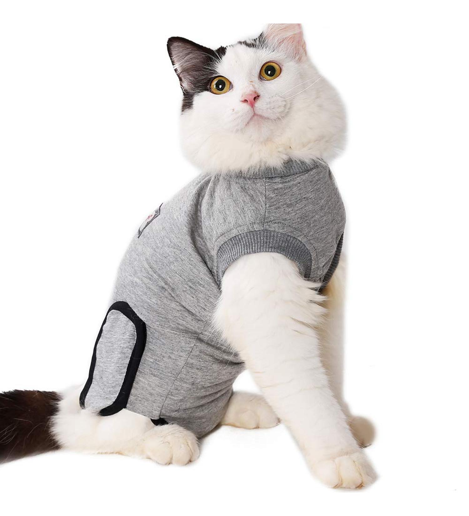 BT Bear Pet Surgery Recovery Suits Cats Clothes Abdominal Wounds Skin Diseases E-Collar Alternative Cotton Cat Shirt for Cats Puppy Small Dogs (XXS-Back length 25cm) XXS--Back length 25cm Chest--27cm - Buy Online on SooperMarket.com
