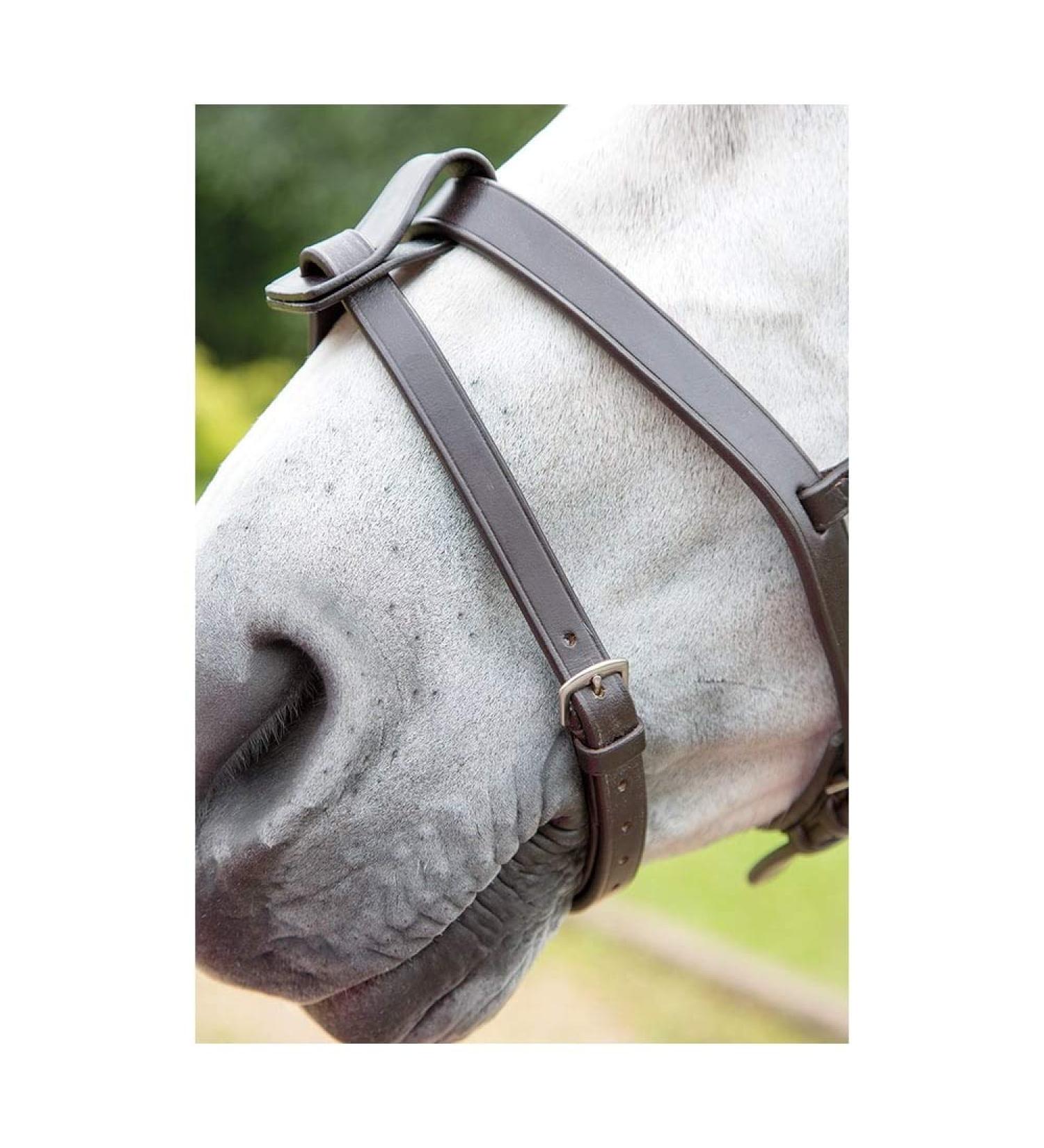 Shires Velociti GARA Flash Strap Havana Cob